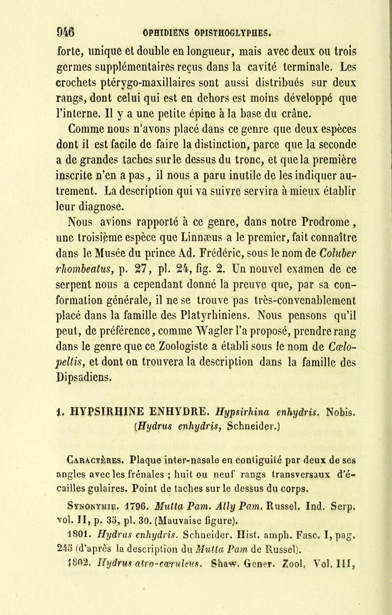 forte, unique et double en longueur, mais avec deux ou trois germes supplémentaires reçus dans la cavité terminale. Les crochets ptérygo-maxillaires sont aussi distribués sur deux rangs, dont celui qui est en dehors est moins développé que l’interne. Il y a une petite épine à la base du crâne. Comme nous n’avons placé dans ce genre que deux espèces dont il est facile de faire la distinction, parce que la seconde a de grandes taches sur le dessus du tronc, et que la première inscrite n’en a pas, il nous a paru inutile de les indiquer au- trement. La description qui va suivre servira à mieux établir leur diagnose. Nous avions rapporté à ce genre, dans notre Prodrome, une troisième espèce que Linnæus a le premier, fait connaître dans le Musée du prince Ad. Frédéric, sous le nom de Coluber rliombeatus, p. 27, pî. 24, fig. 2. Un nouvel examen de ce serpent nous a cependant donné la preuve que, par sa con- formation générale, il ne se trouve pas très-convenablement placé dans la famille des Platyrhiniens. Nous pensons qu’il peut, de préférence, comme Wagler l’a proposé, prendre rang dans le genre que ce Zoologiste a établi sous le nom de Cœlo- peltis, et dont on trouvera la description dans la famille des Dipsadiens. 1, HYPSÏRHINE ENHYDRE. Hypsirhina enhydris. Nobis. (.Hydrus enhydris, Schneider.) Caractères. Plaque inter-nasale en contiguité par deux de ses angles avec les frênaies ; huit ou neuf rangs transversaux d'é- cailles gulaires. Point de taches sur le dessus du corps. Synonymie. 1796. Mutta Pam. Âlly Pam. Russel. Ind. Serp. vol. II, p. 36, pl. 30. (Mauvaise figure). 1801. Hydrus enhydris. Schneider. Hist. amph. Fasc. I, pag, 246 (d’après la description du Mutta Pam de Russel). 1802, Hydrus atro-cm'uïeus. Shaw. Gener. Zool, Vol, Iil,