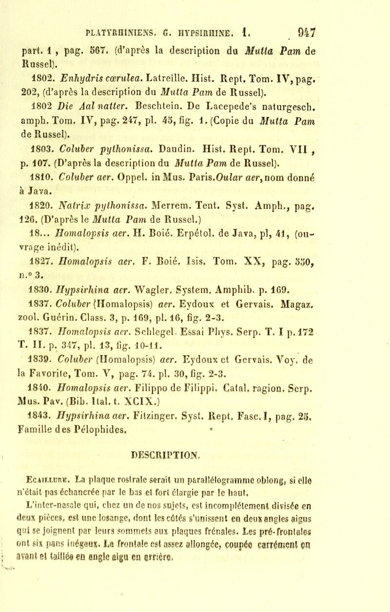 part. 1 , pag. 567. (d’après la description du Mutta Pam de Russel). 1S02. Enhydris cœrulea. Latreille. Hist. Rept. Tom. IV, pag. 202, (d’après la description du Mutta Pam de Russel). 1802 Die Aal natter. Reschtein. De Lacepede’s naturgesch. amph. Tom. IV, pag. 247, pl. 45, fig. 1. (Copie du Mutta Pam de Russel). 1803. Coluber pythonissa. Daudin. Hist. Rept. Tom. VII , p. 107. (D’après la description du Mutta Pam de Russel). 1810. Coluber aer. Oppel. in Mus. Paris.Oular aer, nom donné à Java. 1820. Natrix pythonissa. Merrem. Tent. Syst, Amph., pag. 126. (D’après le Mutta Pam de Russel.) 18... Homalopsis aer. H. Boié. Erpétol. de Java, pl, 41, (ou- vrage inédit). 1827. Homalopsis aer. F. Boié. Isis. Tom. XX, pag. 530, n.° 3. 1830. Hypsirhina aer. Wagler. System. Amphib. p. 169. 1837. Coluber (Homalopsis) aer. Eydoux et Gervais. Magaz. zool. Guérin. Class. 3, p. 169, pl. 16, fig. 2-3. 1837. Homalopsis aer. Schlegel. Essai Phys. Serp. T. I p.172 T. II. p. 347, pl. 13, fig. 10-11. 1839. Coluber (Homalopsis) aer. Eydoux et Gervais. Voy, de la Favorite, Tom. V, pag. 74. pl. 30, fig. 2-3. 1840. Homalopsis aer. Filippo de Filippi. Catal. ragion. Serp. Mus. Pav. (Bib. ïtal. t. XCIX.) 4843. Hypsirhina aer. Fitzinger, Syst. Rept, Fasc.I, pag. 25. Famille des Pélophides. DESCRIPTION, Ecaillure, La plaque rostrale serait un parallélogramme oblong, si elle n’était pas échancrée par le bas el fort élargie par le haut. L’inter-nasale qui, chez un de nos sujets, est incomplètement divisée en deux pièces, est une losange, dont les côtés s’unissent en deux angles aigus qui se joignent par leurs sommets aux plaques frênaies. Les pré*frontales ont six pans inégaux. La frontale est assez allongée, coupée carrément ayant et taillée en angle aigu en arrière*