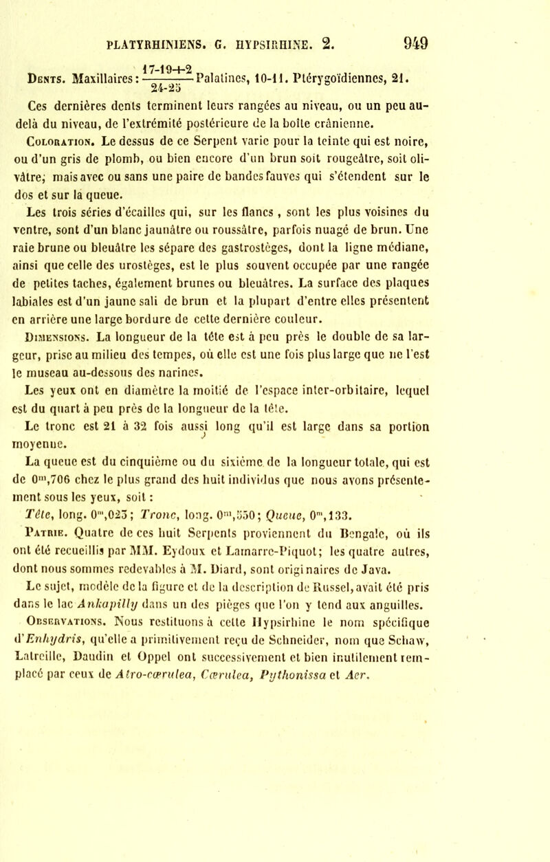 Dents. Maxillaires: 17-19+2 24-25 Palatines, 10-H. Ptérygoïdiennes, 21. Ces dernières dents terminent leurs rangées au niveau, ou un peu au- delà du niveau, de l’extrémité postérieure de la boîte crânienne. Coloration. Le dessus de ce Serpent varie pour la teinte qui est noire, ou d’un gris de plomb, ou bien encore d’un brun soit rougeâtre, soit oli- vâtre; mais avec ou sans une paire de bandes fauves qui s’étendent sur le dos et sur la queue. Les trois séries d’écaillcs qui, sur les flancs, sont les plus voisines du ventre, sont d’un blanc jaunâtre ou roussâtre, parfois nuagé de brun. Une raie brune ou bleuâtre les sépare des gastrostèges, dont la ligne médiane, ainsi que celle des urostèges, est le plus souvent occupée par une rangée de petites taches, également brunes ou bleuâtres. La surface des plaques labiales est d’un jaune sali de brun et la plupart d’entre elles présentent en arrière une large bordure de cette dernière couleur. Dimensions. La longueur de la tête est à peu près le double de sa lar- geur, prise au milieu des tempes, où elle est une fois plus large que ne l’est le museau au-dessous des narines. Les yeux ont en diamètre la moitié de l’espace inter-orbitaire, lequel est du quart à peu près de la longueur de la tète. Le tronc est 21 à 32 fois aussi long qu’il est large dans sa portion moyenne. La queue est du cinquième ou du sixième de la longueur totale, qui est de 0m,706 chez le plus grand des huit individus que nous avons présente- ment sous les yeux, soit : Tête, long. 0m,023 ; Tronc, long. 0n\550; Queue, 0', 133. Patrie. Quatre de ces huit Serpents proviennent du Bengale, où ils ont été recueillis par MM. Eydoux et Lamarrc-Piquot; les quatre autres, dont nous sommes redevables à M. Diard, sont originaires de Java. Le sujet, modèle de la figure et de la description de Russel,avait été pris dans le lac Ankapilly dans un des pièges que l’on y tend aux anguilles. Observations. Nous restituons à cette IIypsirhine le nom spécifique d'Enhydris, qu’elle a primitivement reçu de Schneider, nom que Schaw, Latrcille, Daudin et Oppel ont successivement et bien inutilement rem- placé par ceux de Atro-cœrulea, Cœrulea, Pythonissa et Acr.
