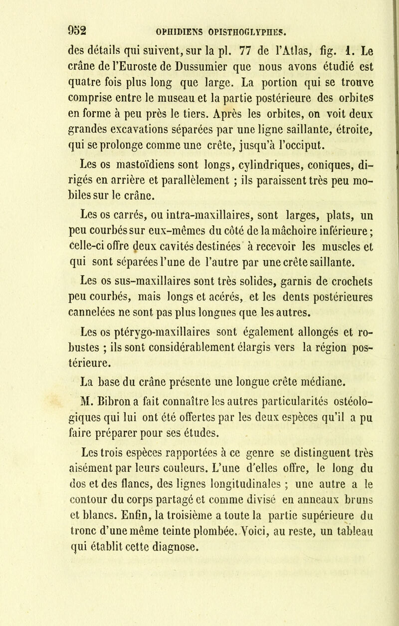 des détails qui suivent, sur la pl. 77 de l’Atlas, fig. 1. Le crâne de l’Euroste de Dussumier que nous avons étudié est quatre fois plus long que large. La portion qui se trouve comprise entre le museau et la partie postérieure des orbites en forme à peu près le tiers. Après les orbites, on voit deux grandes excavations séparées par une ligne saillante, étroite, qui se prolonge comme une crête, jusqu’à l’occiput. Les os mastoïdiens sont longs, cylindriques, coniques, di- rigés en arrière et parallèlement ; ils paraissent très peu mo- biles sur le crâne. Les os carrés, ou intra-maxillaires, sont larges, plats, un peu courbés sur eux-mêmes du côté de la mâchoire inférieure ; celle-ci offre deux cavités destinées à recevoir les muscles et qui sont séparées Tune de l’autre par une crête saillante. Les os sus-maxillaires sont très solides, garnis de crochets peu courbés, mais longs et acérés, et les dents postérieures cannelées ne sont pas plus longues que les autres. Les os ptérvgo-maxillaires sont également allongés et ro- bustes ; ils sont considérablement élargis vers la région pos- térieure. La base du crâne présente une longue crête médiane. M. Bibrona fait connaître les autres particularités ostéolo- giques qui lui ont été offertes par les deux espèces qu’il a pu faire préparer pour ses études. Les trois espèces rapportées à ce genre se distinguent très aisément par leurs couleurs. L’une d'elles offre, le long du dos et des flancs, des lignes longitudinales ; une autre a le contour du corps partagé et comme divisé en anneaux bruns et blancs. Enfin, la troisième a toute la partie supérieure du tronc d’une même teinte plombée. Voici, au reste, un tableau qui établit cette diagnose.