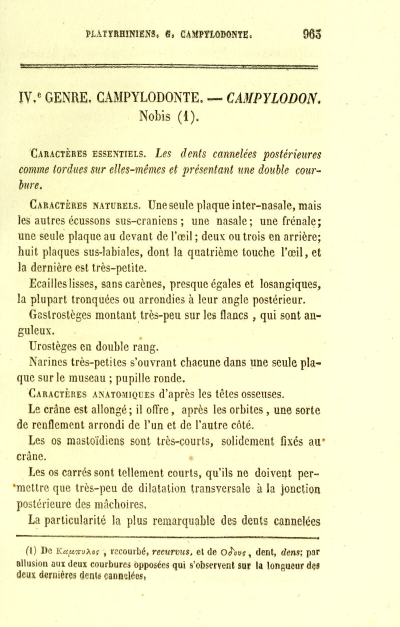 IV,e GENRE, CAMPYLODONTE. — CAMPUODON. Nobis (1), Caractères essentiels. Les dents cannelées postérieures comme tordues sur elles-mêmes et présentant une double cour- bure. Caractères naturels. Une seule plaque inter-nasale, mais les autres écussons sus-craniens ; une nasale ; une frênaie; une seule plaque au devant de l’œil ; deux ou trois en arrière; huit plaques sus-labiales, dont la quatrième touche l’œil, et la dernière est très-petite. Ecailles lisses, sans carènes, presque égales et losangiques, la plupart tronquées ou arrondies à leur angle postérieur. Gastrostèges montant très-peu sur les flancs , qui sont an- guleux. Urostèges en double rang. Narines très-petites s’ouvrant chacune dans une seule pla- que sur le museau ; pupille ronde. Caractères anatomiques d’après les têtes osseuses. Le crâne est allongé; il offre, après les orbites, une sorte de renflement arrondi de l’un et de l’autre côté. Les os mastoïdiens sont très-courts, solidement fixés au' crâne. Les os carrés sont tellement courts, qu’ils ne doivent per- •mettre que très-peu de dilatation transversale à la jonction postérieure des mâchoires, La particularité la plus remarquable des dents cannelées fl) De KapnvXoç , recourbé, recurvus, et de oJW, dent, dens; par allusion aux deux courbures opposées qui s’observent sur la longueur des deux dernières dents cannelées,