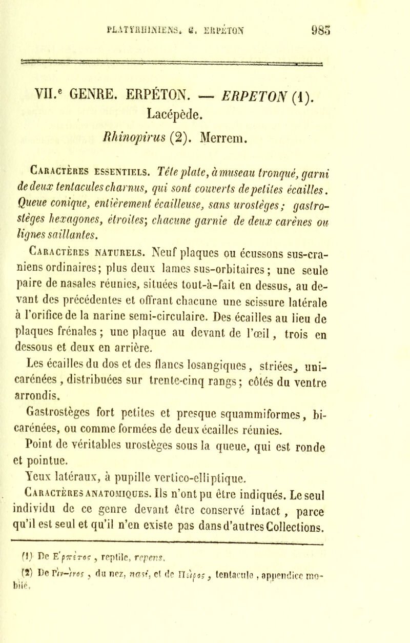 VII.e GENRE. ERPÉTON. — ERPETON (1). Lacépède. Rhinopirus (2). Merrem. Caractères essentiels. Tête plate, à museau tronqué, garni de deux tentacules charnus, qui sont couverts de petites écailles. Queue conique, entièrement écailleuse, sans urostèges; gastro- stèges hexagones, étroites; chacune garnie de deux carènes ou lignes saillantes. Caractères naturels. Neuf plaques ou écussons sus-cra- niens ordinaires; plus deux lames sus-orbitaires ; une seule paire de nasales réunies, situées tout-à-fait en dessus, au de- vant des précédentes et offrant chacune une scissure latérale à l'orifice de la narine semi-circulaire. Des écailles au lieu de plaques frênaies ; une plaque au devant de l’œil, trois en dessous et deux en arrière. Les écailles du dos et des flancs losangiques, striées,, uni- carénées , distribuées sur trente-cinq rangs; côtés du ventre arrondis. Gastrostègcs fort petites et presque squammiformes, bi- carénées, ou comme formées de deux écailles réunies. Point de véritables urostèges sous la queue, qui est ronde et pointue. Yeux latéraux, à pupille vertico-eîliptique. Caractères anatomiques. Ils n’ont pu être indiqués. Le seul individu de ce genre devant être conservé intact, parce qu’il est seul et qu’il n’en existe pas dans d’autres Collections. (!) De E'p7rèroç , reptile, rcpcns, (2) De t)v-)vos , du nez, na$i, cl de ïlùoog9 tentacule , appendice mo- bile,