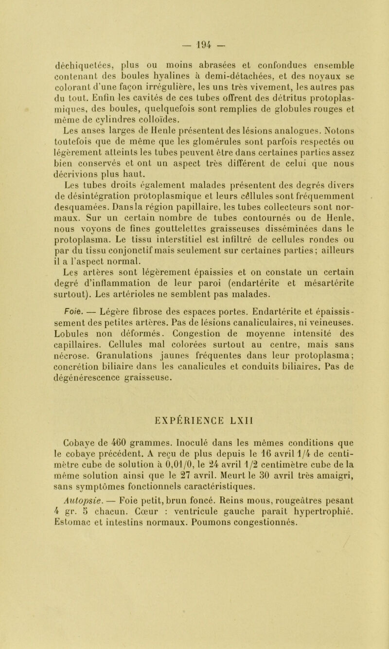 déchiquetées, plus ou moins abrasées et confondues ensemble contenant des boules hyalines à demi-détachées, et des noyaux se colorant d’une façon irrégulière, les uns très vivement, les autres pas du tout. Enfin les cavités de ces tubes offrent des détritus protoplas- miques, des boules, quelquefois sont remplies de globules rouges et même de cylindres colloïdes. Les anses larges de Henle présentent des lésions analogues. Notons toutefois que de même que les glomérules sont parfois respectés ou légèrement atteints les tubes peuvent être dans certaines parties assez bien conservés et ont un aspect très différent de celui que nous décrivions plus haut. Les tubes droits également malades présentent des degrés divers de désintégration protoplasmique et leurs eêllules sont fréquemment desquamées. Dans la région papillaire, les tubes collecteurs sont nor- maux. Sur un certain nombre de tubes contournés ou de Henle, nous voyons de fines gouttelettes graisseuses disséminées dans le protoplasma. Le tissu interstitiel est infiltré de cellules rondes ou par du tissu conjonctif mais seulement sur certaines parties; ailleurs il a l’aspect normal. Les artères sont légèrement épaissies et on constate un certain degré d’inflammation de leur paroi (endartérite et mésartérite surtout). Les artérioles ne semblent pas malades. Foie. — Légère fibrose des espaces portes. Endartérite et épaissis- sement des petites artères. Pas de lésions canaliculaires, ni veineuses. Lobules non déformés. Congestion de moyenne intensité des capillaires. Cellules mal colorées surtout au centre, mais sans nécrose. Granulations jaunes fréquentes dans leur protoplasma; concrétion biliaire dans les canalicules et conduits biliaires. Pas de dégénérescence graisseuse. EXPÉRIENCE LXII Cobaye de 460 grammes. Inoculé dans les mêmes conditions que le cobaye précédent. A reçu de plus depuis le 16 avril 1/4 de centi- mètre cube de solution à 0,01/0, le 24 avril 1/2 centimètre cube de la même solution ainsi que le 27 avril. Meurt le 30 avril très amaigri, sans symptômes fonctionnels caractéristiques. Autopsie. — Foie petit, brun foncé. Reins mous, rougeâtres pesant 4 gr. 5 chacun. Cœur : ventricule gauche parait hypertrophié. Estomac et intestins normaux. Poumons congestionnés.