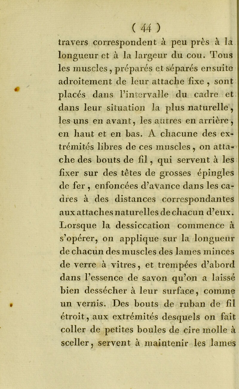 travers correspondent à peu près à la longueur et à la largeur du cou. Tous les muscles , préparés et séparés ensuite adroitement de leur attache fixe , sont placés dans Pintervalle du cadre et. dans leur situation la plus naturelle, les uns en avant, les autres en arrière , en haut et en bas. A chacune des ex- trémités libres de ces muscles ^ on atta^ che des bouts de fil, qui servent à les fixer sur des têtes de grosses épingles de fer , enfoncées d’avance dans les ca- dres à des distances correspondantes aux attaches naturelles de chacun d’eux. Lorsque la dessiccation commence à s’opérer, on applique sur la longueur de chacun des muscles des lames minces de verre à vitres, et trempées d’abord dans l’essence de savon qu’on a laissé bien dessécher à leur surface, comme un vernis. Des bouts de ruban de fil étroit, aux extrémités desquels on fait coller de petites boules de cire molle à sceller, servent à maintenir les lames