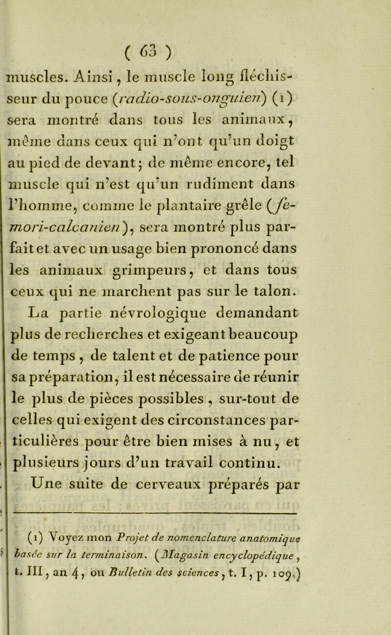 muscles. Ainsi, le muscle long flécliis- seur du pouce {j'adio-sous-ongideii) (i) sera montré dans tous les animaux^ ïuéme dans ceux qui n’ont qu’un doigt au pied de devant 5 de même encore, tel muscle qui n’est qu’un rudiment dans l’homme, comme le plantaire grêle (/e- mori-calcanien')^ sera montré plus par- fait et avec un usage bien prononcé dans y les animaux grimpeurs, et dans tous ceux qui ne marchent pas sur le talon. La partie névrologique demandant plus de recherches et exigeant beaucoup de temps , de talent et de patience pour sa préparation, il est nécessaire de réunir le plus de pièces possibles , sur-tout de celles qui exigent des circonstances par- ticulières pour être bien mises à nu, et plusieurs jours d’un travail continu. Une suite de cerveaux préparés par (1) Voyez mon Projet de nomenclature anatomique basée sur la terminaison. {^Magasin encyclopédique t. m J an 4? ou Bulletin des sciences ^ t. Ij p. 105,)