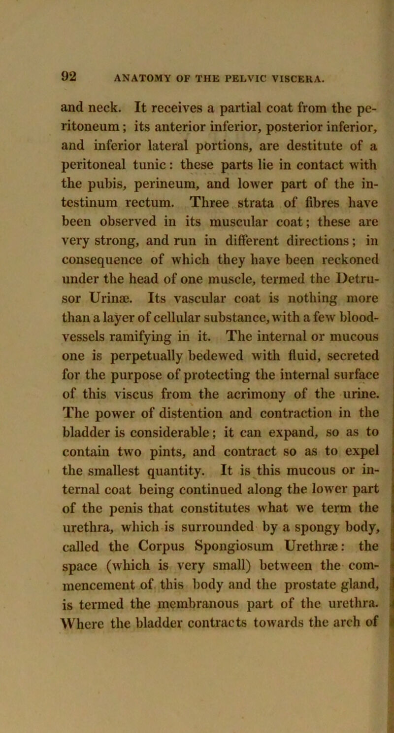 and neck. It receives a partial coat from the pe- ritoneum ; its anterior inferior, posterior inferior, and inferior lateral portions, are destitute of a peritoneal tunic: these parts lie in contact with the pubis, perineum, and lower part of the in- testinum rectum. Three strata of fibres have been observed in its muscular coat; these are very strong, and run in different directions; in consequence of which they have been reckoned under the head of one muscle, termed the Detru- sor Urinse. Its vascular coat is nothing more than a layer of cellular substance, with a few blood- vessels ramifying in it. The internal or mucous one is perpetually bedewed with fluid, secreted for the purpose of protecting the internal surface of this viscus from the acrimony of the urine. The power of distention and contraction in the bladder is considerable; it can expand, so as to contain two pints, and contract so as to expel the smallest quantity. It is this mucous or in- ternal coat being continued along the lower part of the penis that constitutes w hat we term the urethra, which is surrounded by a spongy body, called the Corpus Spongiosum Urethrae: the space (which is very small) between the com- mencement of this body and the prostate gland, is termed the membranous part of the urethra. Where the bladder contracts towards the arch of