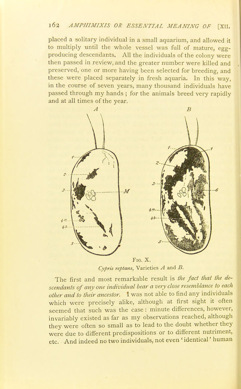 placed a solitary individual in a small aquarium, and allowed it to multiply until the whole vessel was full of mature, egg- producing descendants. All the individuals of the colony were then passed in review, and the greater number were killed and preserved, one or more having been selected for breeding, and these were placed separately in fresh aquaria. In this way, in the course of seven years, many thousand individuals have passed through my hands ; for the animals breed very rapidly and at all times of the year. Fig. X. Cypris repians, Varieties A and B. The first and most remarkable result is the fact that the de- scendants of any one individual bear a very close resemblance to each other and to their ancestor. I was not able to find any individuals which were precisely alike, although at first sight it often seemed that such was the case : minute differences, however, invariably existed as far as my observations reached, although they were often so small as to lead to the doubt whether they were due to different predispositions or to different nutriment, etc. And indeed no two individuals, not even ' identical' human