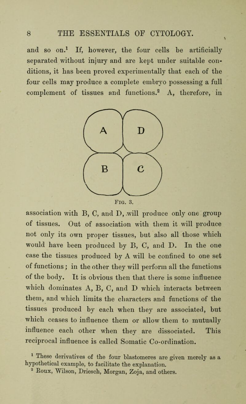 and so on.1 If, however, the four cells be artificially separated without injury and are kept under suitable con- ditions, it has been proved experimentally that each of the four cells may produce a complete embryo possessing a full complement of tissues and functions.2 A, therefore, in association with B, C, and D, .will produce only one group of tissues. Out of association with them it will produce not only its own proper tissues, but also all those which would have been produced by B, C, and D. In the one case the tissues produced by A will be confined to one set of functions; in the other they will perform all the functions of the body. It is obvious then that there is some influence which dominates A, B, C, and D which interacts between them, and which limits the characters and functions of the tissues produced by each when they are associated, but which ceases to influence them or allow them to mutually influence each other when they are dissociated. This reciprocal influence is called Somatic Co-ordination. 1 These derivatives of the four blastomeres are given merely as a hypothetical example, to facilitate the explanation. 2 Roux, Wilson, Driesch, Morgan, Zoja, and others.