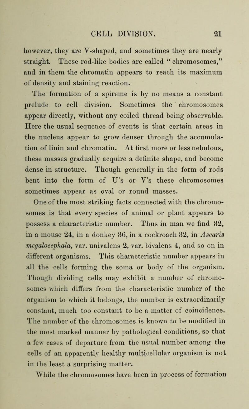 however, they are V-shaped, and sometimes they are nearly straight. These rod-like bodies are called “ chromosomes,” and in them the chromatin appears to reach its maximum of density and staining reaction. The formation of a spireme is by no means a constant prelude to cell division. Sometimes the chromosomes appear directly, without any coiled thread being observable. Here the usual sequence of events is that certain areas in the nucleus appear to grow denser through the accumula- tion of linin and chromatin. At first more or less nebulous, these masses gradually acquire a definite shape, and become dense in structure. Though generally in the form of rods bent into the form of U’s or V’s these chromosomes sometimes appear as oval or round masses. One of the most striking facts connected with the chromo- somes is that every species of animal or plant appears to possess a characteristic number. Thus in man we find 32, in a mouse 24, in a donkey 86, in a cockroach 32, in Ascaris megalocephala, var. univalens 2, var. bivalens 4, and so on in different organisms. This characteristic number appears in all the cells forming the soma or body of the organism. Though dividing cells may exhibit a number of chromo- somes which differs from the characteristic number of the organism to which it belongs, the number is extraordinarily constant, much too constant to be a matter of coincidence. The number of the chromosomes is known to be modified in the most marked manner by pathological conditions, so that a few cases of departure from the usual number among the cells of an apparently healthy multicellular organism is not in the least a surprising matter. While the chromosomes have been in process of formation