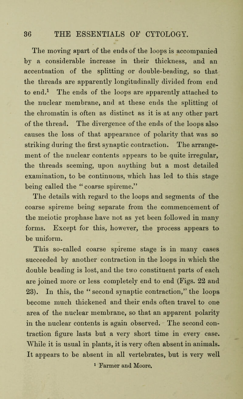 The moving apart of the ends of the loops is accompanied by a considerable increase in their thickness, and an accentuation of the splitting or double-beading, so that the threads are apparently longitudinally divided from end to end.1 The ends of the loops are apparently attached to the nuclear membrane, and at these ends the splitting of the chromatin is often as distinct as it is at any other part of the thread. The divergence of the ends of the loops also causes the loss of that appearance of polarity that was so striking during the first synaptic contraction. The arrange- ment of the nuclear contents appears to be quite irregular, the threads seeming, upon anything but a most detailed examination, to be continuous, which has led to this stage being called the “coarse spireme.” The details with regard to the loops and segments of the coarse spireme being separate from the commencement of the meiotic prophase have not as yet been followed in many forms. Except for this, however, the process appears to be uniform. This so-called coarse spireme stage is in many cases succeeded by another contraction in the loops in which the double beading is lost, and the two constituent parts of each are joined more or less completely end to end (Figs. 22 and 23). In this, the “second synaptic contraction,” the loops become much thickened and their ends often travel to one area of the nuclear membrane, so that an apparent polarity in the nuclear contents is again observed. The second con- traction figure lasts but a very short time in every case. While it is usual in plants, it is very often absent in animals. It appears to be absent in all vertebrates, but is very well 1 Farmer and Moore.