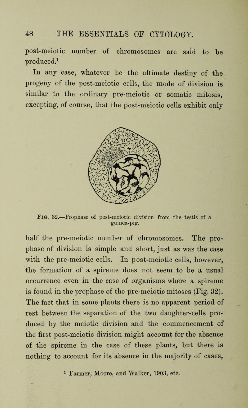 post-meiotic number of chromosomes are said to be produced.1 In any case, whatever be the ultimate destiny of the progeny of the post-meiotic cells, the mode of division is similar to the ordinary pre-meiotic or somatic mitosis, excepting, of course, that the post-meiotic cells exhibit only Fig. 32.—Prophase of post-meiotic division from the testis of a guinea-pig. half the pre-meiotic number of chromosomes. The pro- phase of division is simple and short, just as was the case with the pre-meiotic cells. In post-meiotic cells, however, the formation of a spireme does not seem to be a usual occurrence even in the case of organisms where a spireme is found in the prophase of the pre-meiotic mitoses (Fig. 82). The fact that in some plants there is no apparent period of rest between the separation of the two daughter-cells pro- duced by the meiotic division and the commencement of the first post-meiotic division might account for the absence of the spireme in the case of these plants, but there is nothing to account for its absence in the majority of cases, 1 Farmer, Moore, and Walker, 1903, etc.
