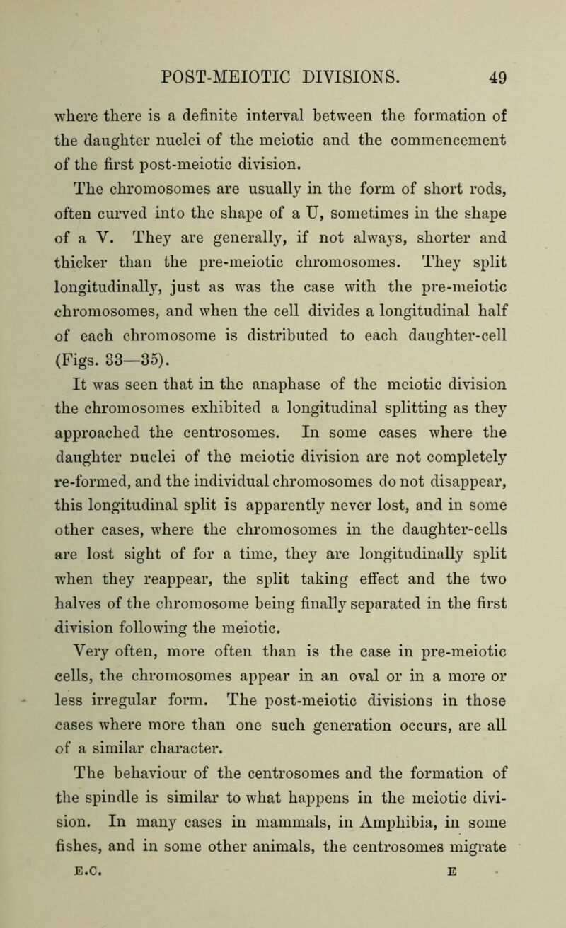 where there is a definite interval between the formation of the daughter nuclei of the meiotic and the commencement of the first post-meiotic division. The chromosomes are usually in the form of short rods, often curved into the shape of a U, sometimes in the shape of a V. They are generally, if not always, shorter and thicker than the pre-meiotic chromosomes. They split longitudinally, just as was the case with the pre-meiotic chromosomes, and when the cell divides a longitudinal half of each chromosome is distributed to each daughter-cell (Figs. 83—35). It was seen that in the anaphase of the meiotic division the chromosomes exhibited a longitudinal splitting as they approached the centrosomes. In some cases where the daughter nuclei of the meiotic division are not completely re-formed, and the individual chromosomes do not disappear, this longitudinal split is apparently never lost, and in some other cases, where the chromosomes in the daughter-cells are lost sight of for a time, they are longitudinally split when they reappear, the split taking effect and the two halves of the chromosome being finally separated in the first division following the meiotic. Very often, more often than is the case in pre-meiotic cells, the chromosomes appear in an oval or in a more or less irregular form. The post-meiotic divisions in those cases where more than one such generation occurs, are all of a similar character. The behaviour of the centrosomes and the formation of the spindle is similar to what happens in the meiotic divi- sion. In many cases in mammals, in Amphibia, in some fishes, and in some other animals, the centrosomes migrate E.C. E