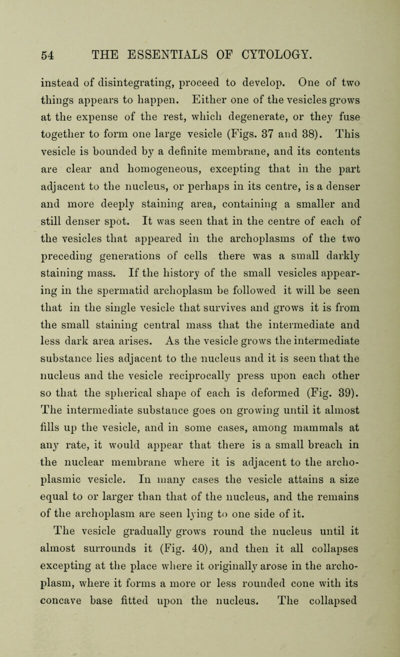 instead of disintegrating, proceed to develop. One of two things appears to happen. Either one of the vesicles grows at the expense of the rest, which degenerate, or they fuse together to form one large vesicle (Figs. 37 and 88). This vesicle is bounded by a definite membrane, and its contents are clear and homogeneous, excepting that in the part adjacent to the nucleus, or perhaps in its centre, is a denser and more deeply staining area, containing a smaller and still denser spot. It was seen that in the centre of each of the vesicles that appeared in the archoplasms of the two preceding generations of cells there was a small darkly staining mass. If the history of the small vesicles appear- ing in the spermatid archoplasm he followed it will be seen that in the single vesicle that survives and grows it is from the small staining central mass that the intermediate and less dark area arises. As the vesicle grows the intermediate substance lies adjacent to the nucleus and it is seen that the nucleus and the vesicle reciprocally press upon each other so that the spherical shape of each is deformed (Fig. 89). The intermediate substance goes on growing until it almost fills up the vesicle, and in some cases, among mammals at an} rate, it would appear that there is a small breach in the nuclear membrane where it is adjacent to the archo- plasmic vesicle. In many cases the vesicle attains a size equal to or larger than that of the nucleus, and the remains of the archoplasm are seen lying to one side of it. The vesicle gradually grows round the nucleus until it almost surrounds it (Fig. 40), and then it all collapses excepting at the place where it originally arose in the archo- plasm, where it forms a more or less rounded cone with its concave base fitted upon the nucleus. The collapsed