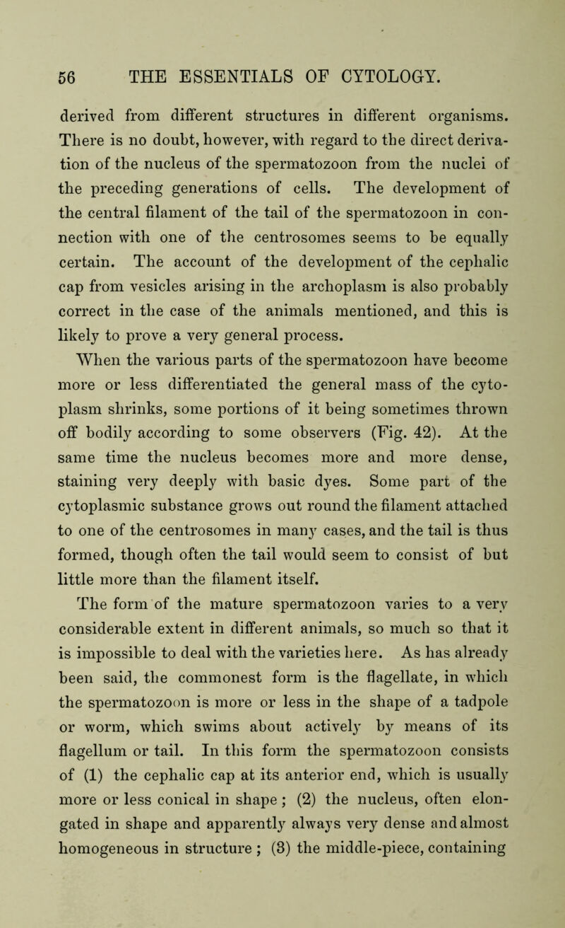 derived from different structures in different organisms. There is no doubt, however, with regard to the direct deriva- tion of the nucleus of the spermatozoon from the nuclei of the preceding generations of cells. The development of the central filament of the tail of the spermatozoon in con- nection with one of the centrosomes seems to be equally certain. The account of the development of the cephalic cap from vesicles arising in the archoplasm is also probably correct in the case of the animals mentioned, and this is likely to prove a very general process. When the various parts of the spermatozoon have become more or less differentiated the general mass of the cyto- plasm shrinks, some portions of it being sometimes thrown off bodily according to some observers (Fig. 42). At the same time the nucleus becomes more and more dense, staining very deeply with basic dyes. Some part of the cytoplasmic substance grows out round the filament attached to one of the centrosomes in man}r cases, and the tail is thus formed, though often the tail would seem to consist of but little more than the filament itself. The form of the mature spermatozoon varies to a very considerable extent in different animals, so much so that it is impossible to deal with the varieties here. As has already been said, the commonest form is the flagellate, in which the spermatozoon is more or less in the shape of a tadpole or worm, which swims about actively by means of its flagellum or tail. In this form the spermatozoon consists of (1) the cephalic cap at its anterior end, which is usually more or less conical in shape ; (2) the nucleus, often elon- gated in shape and apparently always very dense and almost homogeneous in structure ; (8) the middle-piece, containing