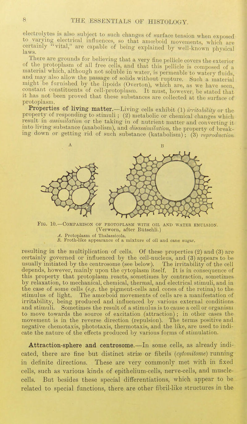 electrolytes la also subject to such changes of surface tension when exposed to varying electrical influences, so that aiiKXiboid movements, which are kw^ ' '^^^ ^^V-^^^^ of being explained by well-known physical There are grounds for believing that a very fine pellicle covers the exterior ot tlio protoplasm of all free cells, and that this pellicle is composed of a material which, although not soluble in water, is permeable to watery fluids and may also allow the passage of solids without rujjture. Such a material' might be furnished by the lipoids (Overton), which are, as we have seen constant constituents of cell-protoplasm. It must, however, be stated that it has not been proved that these substances are collected at the surface of protoplasm. Properties of living matter.—Living cells exhibit (1) irritability or the property of responding to stimuli ; (2) metabolic or chemical changes which result in assimilation or the taking in of nutrient matter and converting it into living substance (anabolism), and disassimilation, the property of break- ing down or getting rid of such substance (katabolism); (3) reproduction Fig. 10.—Comparison of protoplasm with oil a.n'd water emulsion. (Verworn, after Biitschli.) A. Protoplasm of Thalassioola. B. Froth-like appearance of a mixture of oil and cane sugar. resulting in the multiplication of cells. Of these properties (2) and (3) are certainly governed or influenced by the cell-nucleus, and (3) appears to be usually initiated by the centrosome (see below). The irritability of the cell depends, however, mainly upon the cytoplasm itself. It is in consequence of this property that protoplasm reacts, sometimes by contraction, sometimes by relaxation, to mechanical, chemical, thermal, and electrical stimuli, and in the case of some cells {e.g. the pigment-cells and cones of the retina) to the stimulus of light. The amoeboid movements of cells are a manifestation of irritability, being produced and influenced by various external conditions and stimuli. Sometimes the result of a stimulus is to cause a cell or organism to move towards the source of excitation (attraction); in other cases the movement is in the reverse direction (repulsion). The terms positive and negative chemotaxis, phototaxis, thermotaxis, and the like, are used to indi- cate the nature of the effects produced by various forms of stimulation. Attraction-sphere and centrosome.—In some cells, as already indi- cated, there are fine but distinct striae or fibrils {cytomitome) running in definite directions. These are very commonly met with in fixed cells, such as various kinds of epithelium-cells, nerve-cells, and muscle- cells. But besides these special differentiations, which appear to be related to special functions, there are other fibril-like structures in the