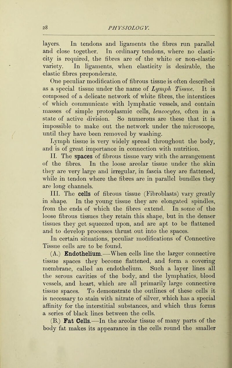 layers. In tendons and ligaments the fibres run parallel and close together. In ordinary tendons, where no elasti- city is required, the fibres are of the white or non-elastic variety. In ligaments, when elasticity is desirable, the elastic fibres preponderate. One peculiar modification of fibrous tissue is often described as a special tissue under the name of Lymph Tissue. It is composed of a delicate network of white fibres, the interstices of which communicate with lymphatic vessels, and contain masses of simple protoplasmic cells, leucocytes, often in a state of active division. So numerous are these that it is impossible to make out the network under the microscope, until they have been removed by washing. Lymph tissue is very widely spread throughout the body, and is of great importance in connection with nutrition. II. The spaces of fibrous tissue vary with the arrangement of the fibres. In the loose areolar tissue under the skin they are very large and irregular, in fascia they are flattened, while in tendon where the fibres are in parallel bundles they are long channels. III. The cells of fibrous tissue (Fibroblasts) vary greatly in shape. In the young tissue they are elongated spindles, from the ends of Avhich the fibres extend. In some of the loose fibrous tissues they retain this shape, but in the denser tissues they get squeezed upon, and are apt to be flattened and to develop processes thrust out into the spaces. In certain situations, peculiar modifications of Connective Tissue cells are to be found. (A.) Endothelium.—When cells line the larger connective tissue spaces they become flattened, and form a covering membrane, called an endothelium. Such a layer lines all the serous cavities of the body, and the lymphatics, blood vessels, and heart, which are all primarily large connective tissue spaces. To demonstrate the outlines of these cells it is necessary to stain with nitrate of silver, which has a special affinity for the interstitial substances, and which thus forms a series of black lines between the cells. (B.) Fat Cells.—In the areolar tissue of many parts of the body fat makes its appearance in the cells round the smaller