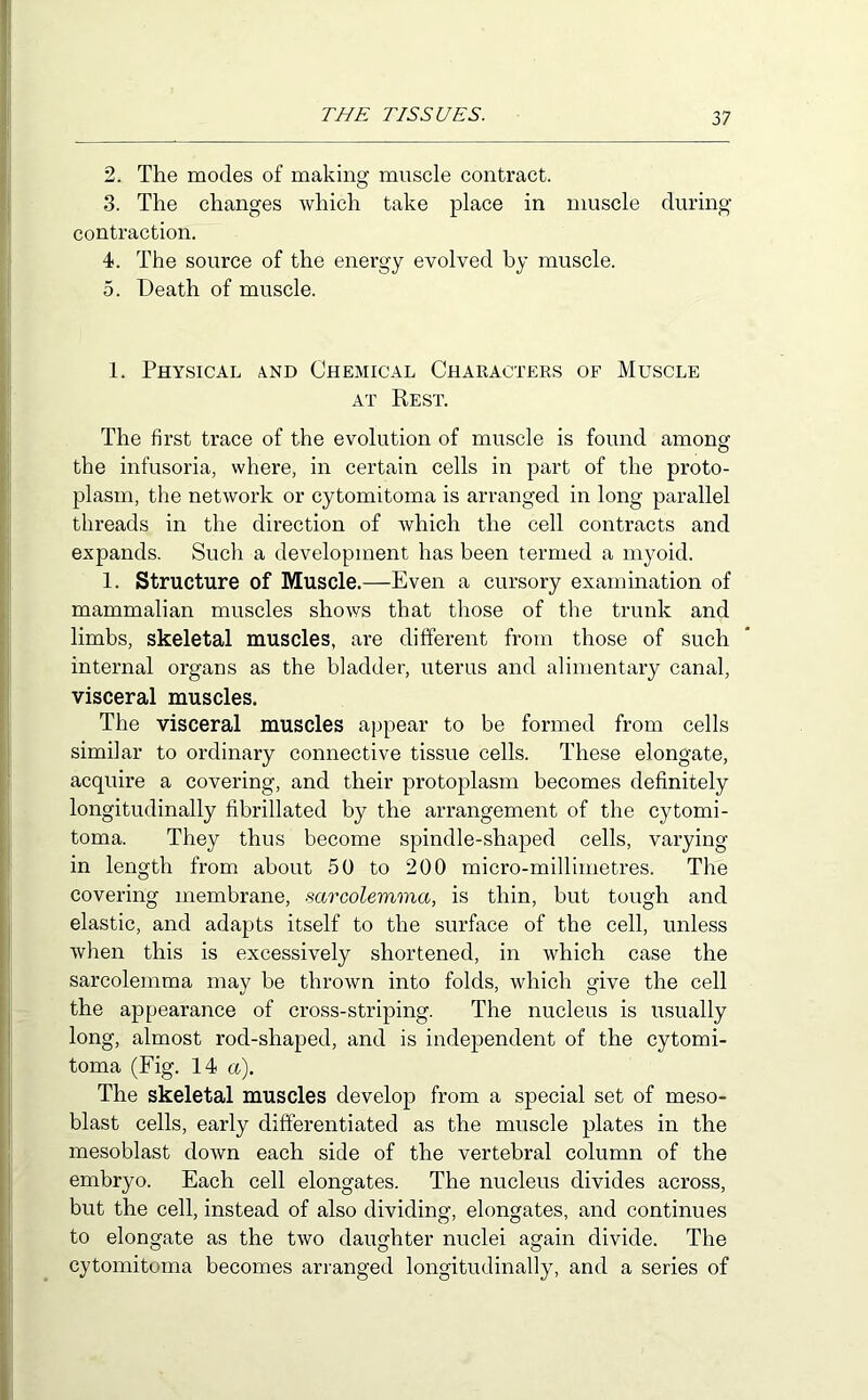 2. The modes of making muscle contract. 3. The changes which take place in muscle during contraction. 4. The source of the energy evolved hy muscle. 5. Death of muscle. 1. Physical a.nd Chemical Characters of Muscle AT Rest. The first trace of the evolution of muscle is found among the infusoria, where, in certain cells in part of the proto- plasm, the network or cytomitoma is arranged in long parallel threads in the direction of which the cell contracts and expands. Such a development has been termed a niyoid. 1. Structure of Muscle.—Even a cursory examination of mammalian muscles shows that those of the trunk and limbs, skeletal muscles, are different from those of such internal organs as the bladder, uterus and alimentary canal, visceral muscles. The visceral muscles appear to be formed from cells similar to ordinary connective tissue cells. These elongate, acquire a covering, and their protoplasm becomes definitely longitudinally fibrillated by the arrangement of the cytomi- toma. They thus become spindle-shaped cells, varying in length from about 50 to 200 micro-millimetres. The covering membrane, sarcolemma, is thin, but tough and elastic, and adapts itself to the surface of the cell, unless when this is excessively shortened, in which case the sarcolemma may be thrown into folds, which give the cell the appearance of cross-striping. The nucleus is usually long, almost rod-shaped, and is independent of the cytomi- toma (Fig. 14 a.). The skeletal muscles develop from a special set of meso- blast cells, early differentiated as the muscle plates in the mesoblast down each side of the vertebral column of the embryo. Each cell elongates. The nucleus divides across, but the cell, instead of also dividing, elongates, and continues to elongate as the two daughter nuclei again divide. The cytomitoma becomes arranged longitudinally, and a series of