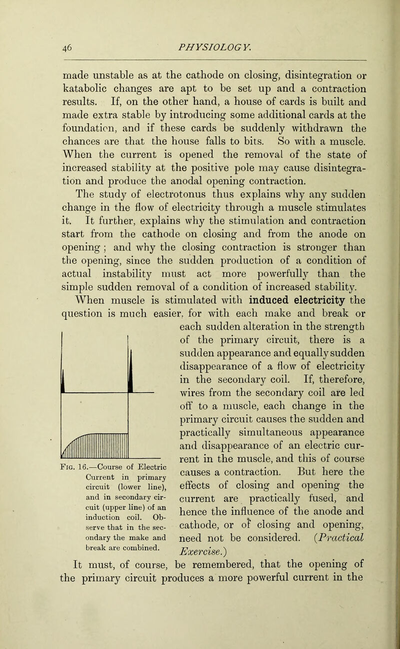 made unstable as at the cathode on closing, disintegration or katabolic changes are apt to be set up and a contraction results. If, on the other hand, a house of cards is built and made extra stable by introducing some additional cards at the foundation, and if these cards be suddenly withdrawn the chances are that the house falls to bits. So with a muscle. When the current is opened the removal of the state of increased stability at the positive pole may cause disintegra- tion and produce the anodal opening contraction. The study of electrotonus thus explains why any sudden change in the flow of electricity through a muscle stimulates it. It further, explains why the stimulation and contraction start from the cathode on closing and from the anode on opening ; and why the closing contraction is stronger than the opening, since the sudden production of a condition of actual instability must act more powerfully than the simple sudden removal of a condition of increased stability. When muscle is stimulated with induced electricity the question is much easier, for with each make and break or each sudden alteration in the strencjth of the primary circuit, there is a sudden appearance and equally sudden disappearance of a flow of electricity in the secondary coil. If, therefore, wires from the secondary coil are led off to a muscle, each change in the primary circuit causes the sudden and practically simultaneous appearance and disappearance of an electric cur- rent in the muscle, and this of course causes a contraction. But here the effects of closing and opening the current are practically fused, and hence the influence of the anode and cathode, or of closing and opening, need not be considered. [Practical Exercise.) It must, of course, be remembered, that the opening of the primary circuit produces a more powerful current in the Fig. 16.—Course of Electric Current in primary circuit (lower line), and in secondary cir- cuit (upper line) of an induction coil. Ob- serve that in the sec- ondary the make and break are combined.