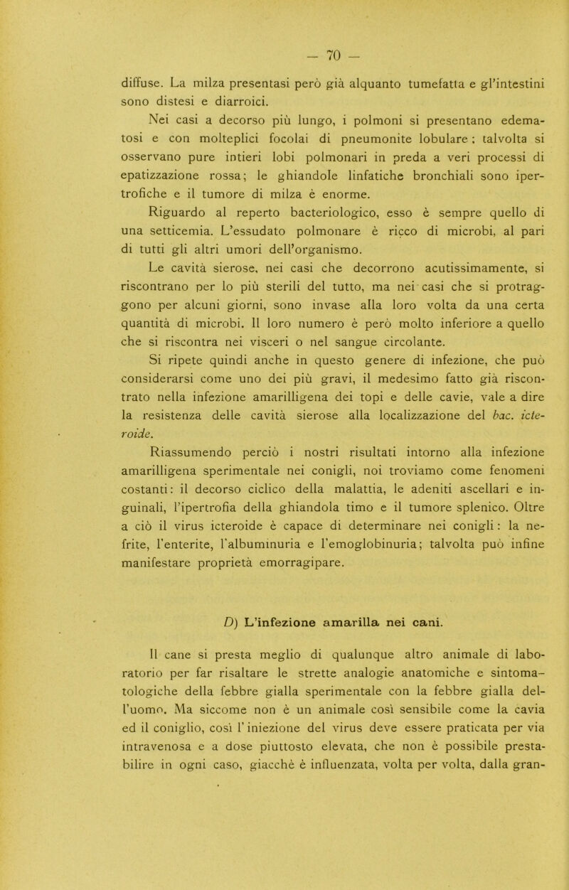 diffuse. La milza presentasi pero gia alquanto tumefatla e gl’intestini sono distesi e diarroici. Nei casi a decorso piu lungo, i polmoni si presentano edema- tosi e con molteplici focolai di pneumonite lobulare; talvolta si osservano pure intieri lobi polmonari in preda a veri processi di epatizzazione rossa; le ghiandole linfatiche bronchiali sono iper- trofiche e il tumore di milza e enorme. Riguardo al reperto bacteriologico, esso e sempre quello di una setticemia. L’essudato polmonare e ricco di microbi, al pari di tutti gli altri umori dell’organismo. Le cavita sierose, nei casi che decorrono acutissimamente, si riscontrano per lo piu sterili del tutto, ma nei casi che si protrag- gono per alcuni giorni, sono invase alia loro volta da una certa quantita di microbi. 11 loro numero e pero molto inferiore a quello che si riscontra nei visceri o nei sangue circolante. Si ripete quindi anche in questo genere di infezione, che puo considerarsi come uno dei piu gravi, il medesimo fatto gia riscon- trato nella infezione amarilligena dei topi e delle cavie, vale a dire la resistenza delle cavita sierose alia localizzazione del bac. icte- roide. Riassumendo percio i nostri risultati intorno alia infezione amarilligena sperimentale nei conigli, noi troviamo come fenomeni costanti: il decorso ciclico della malattia, le adeniti ascellari e in- guinali, Tipertrofia della ghiandola timo e il tumore splenico. Oltre a cio il virus icteroide e capace di determinare nei conigli: la ne- frite, I’enterite, Talbuminuria e hemoglobinuria; talvolta puo infine manifestare proprieta emorragipare. D) L’infezione amarilla nei cani. Il cane si presta meglio di qualunque altro animale di labo- ratorio per far risaltare le strette analogie anatomiche e sintoma- tologiche della febbre gialla sperimentale con la febbre gialla del- I’uomo. Ma siccome non e un animale cosi sensibile come la cavia ed il coniglio, cosi 1’ iniezione del virus deve essere praticata per via intravenosa e a dose piuttosto elevata, che non e possibile presta- bilire in ogni caso, giacche e inlluenzata, volta per volta, dalla gran-