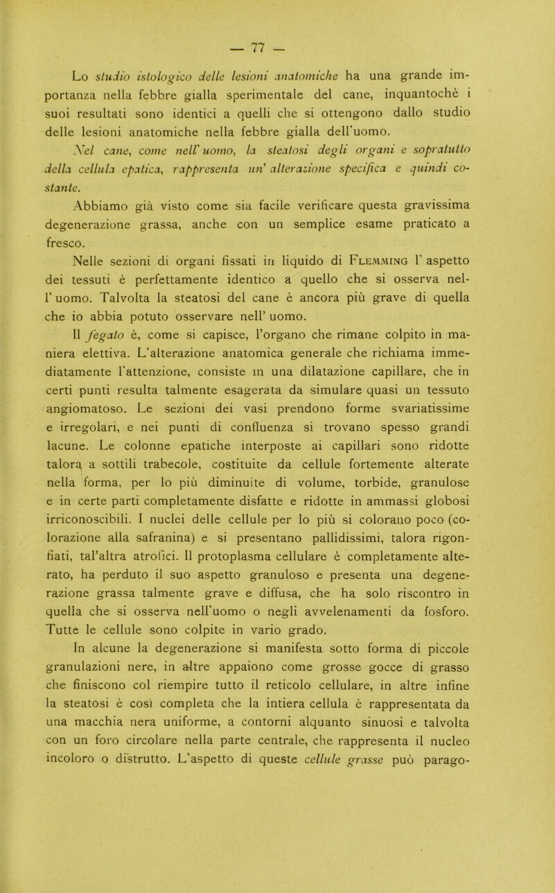 Lo studio islologico dellc lesioni anatomicJie ha una grande im- portanza nella febbre gialla sperimentale del cane, inquantoche i suoi resultati sono identic! a quelli cbe si ottengono dallo studio delle lesioni anatomiche nella febbre gialla delbuomo. Xel cane, come nelV uorno, la steatosi degli or gam e sopratutto della cellula epalica, rappresenta un^ alterazione specifica e quindi co- stante. Abbiamo gia visto come sia facile verificare questa gravissima degenerazione grassa, anche con un semplice esame praticato a fresco. Nelle sezioni di organ! lissati in liquido di Flemming T aspetto dei tessuti e perfettamente identico a quello che si osserva nel- r uomo. Talvolta la steatosi del cane e ancora piu grave di quella che io abbia potuto osservare nelh uomo, II fegalo e, come si capisce, I’organo che rimane colpito in ma- niera elettiva. L’alterazione anatomica generale che richiama imme- diatamente Tattenzione, consiste in una dilatazione capillare, che in certi punti resulta talmente esagerata da simulare quasi un tessuto angiomatoso. Le sezioni dei vasi prendono forme svariatissime e irregolari, e nei punti di confluenza si trovano spesso grandi lacune. Le colonne epatiche interposte ai capillari sono ridotte talora a sottili trabecole, costituite da cellule fortemente alterate nella forma, per lo piu diminuite di volume, torbide, granulose e in certe parti completamente disfatte e ridotte in ammassi globosi irriconoscibili. I nuclei delle cellule per lo piii si colorano poco (co- lorazione alia safranina) e si presentano pallidissimi, talora rigon- hati, tal’altra atrofici. II protoplasma cellulare e completamente alte- rato, ha perduto il suo aspetto granuloso e presenta una degene- razione grassa talmente grave e diffusa, che ha solo riscontro in quella che si osserva nell’uomo o negli avvelenamenti da fosforo. Tutte le cellule sono colpite in vario grado. In alcune la degenerazione si manifesta sotto forma di piccole granulazioni nere, in altre appaiono come grosse gocce di grasso che finiscono col riempire tutto il reticolo cellulare, in altre inline la steatosi e cosi completa che la intiera cellula e rappresentata da una macchia nera uniforme, a contorni alquanto sinuosi e talvolta con un foro circolare nella parte centrale, che rappresenta il nucleo incoloro o di'strutto. L’aspetto di queste cellule grasse puo parago-