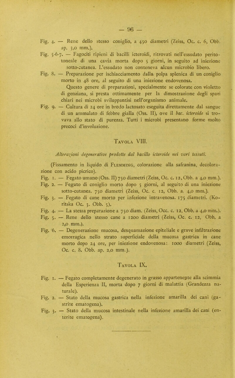 Fig. 4. — Rene dello stesso coiiiglio, a 450 diametri (Zeiss, Oc. c. 6, Obb. ap. 3,0 mm.). Fig, 5-6-7. — Fagociti ripieni di bacilli icteroidi, ritrovati nell’essudato perito- toneale di una cavia morta dopo 5 giorni, in seguito ad iniezione sotto-cutanea. L’essudato non conteneva alcun microbio libero. Fig. 8. — Preparazione per ischiacciamento dalla polpa splenica di un coniglio morto in 48 ore, al seguito di una iniezione endovenosa. Qjuesto genere di preparazioni, specialmente se colorate con violetto di genziana, si presta ottimamente per la dimostrazione degli spazi chiari nei microbi sviluppantisi nell'organismo animale. Fig. 9. — Cultura di 24 ore in brodo lactosato eseguita direttamente dal sangue di un ammalato di febbre gialla (Oss. II), ove il bac. icteroide si tro- vava alio stato di purezza. Tutti i microbi presentano forme molto precoci d’involuzione. Tavola VIII. Altera:{ioni degenerative prodotte dal hacillo icteroide nei vari tessuti. (Fissamento in liquido di Flemming, colorazione alia safranina, decolora- zione con acido picrico). Fig. I. — Fegato umano(Oss. II) 750 diametri (Zeiss, Oc. c. 12, Obb. a 4,0 mm.). Fig. 2. — Fegato di coniglio morto dopo 5 giorni, al seguito di una iniezione sotto-cutanea. 750 diametri (Zeiss, Oc, c. 12, Obb. a. 4,0 mm.). Fig. 3. — Fegato di cane morto per infezione intravenosa. 175 diametri. (Ko- ritska Oc. 3. Obb. 5). Fig. 4. — La stessa preparazione a 750 diam. (Zeiss, Occ. c. 12, Obb. a 4,0 mm.). Fig. 5, — Rene dello stesso cane a 1200 diametri (Zeiss, Oc. c. 12, Obb. a 2,0 mm.). Fig. 6. — Degenerazione mucosa, desquamazione epiteliale e grave infiltrazione emorragica nello strato superficiale della mucosa gastrica in cane morto dopo 24 ore, per iniezione endovenosa: 1000 diametri (Zeiss, Oc. c. 8. Obb. ap. 2,0 mm.). Tavola IX. - Fegato completamente degenerato in grasso appartenepte alia scimmia della Esperienza II, morta dopo 7 giorni di malattia (Grandezza na- turale). - Stato della mucosa gastrica nella infezione amarilla dei cani (ga- strite ematogena). - Stato della mucosa intestinale nella infezione amarilla dei cani (en- terite ematogena). Fig. I. Fig. 2. Pig- 3-