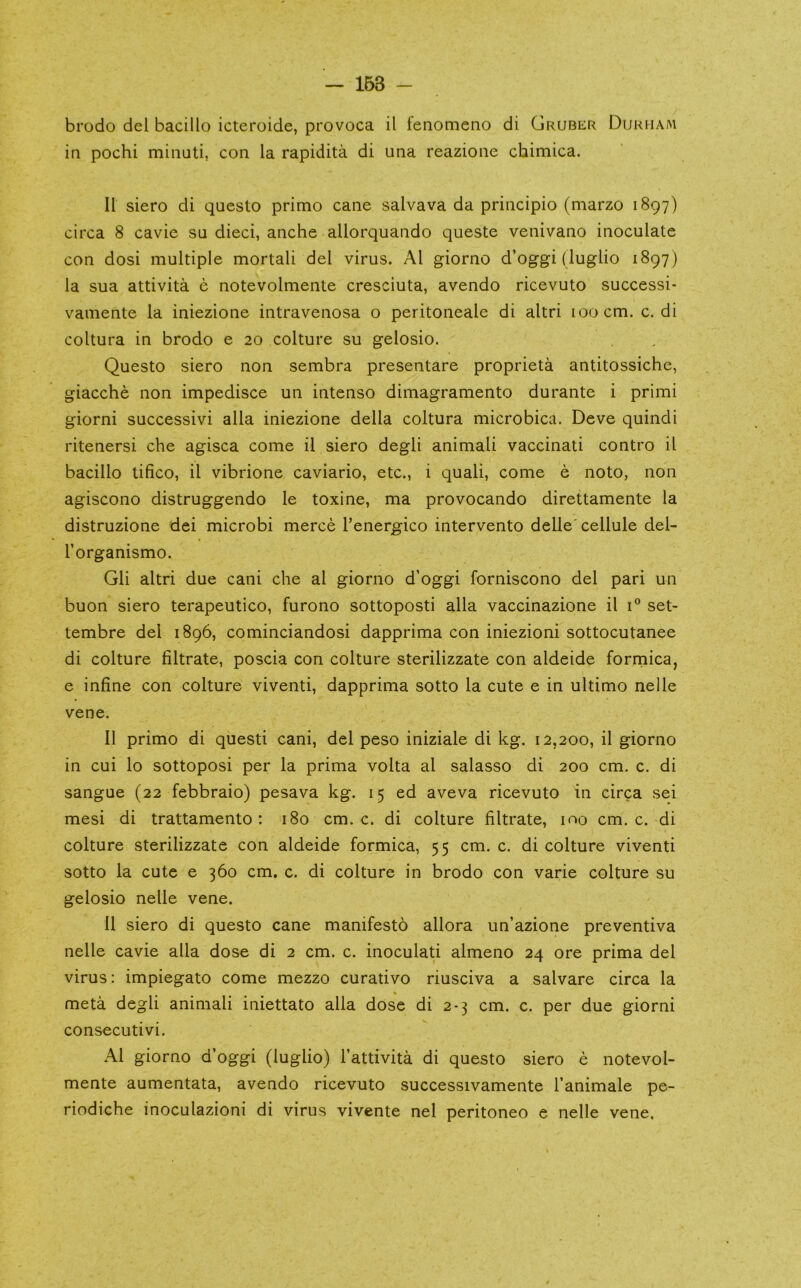 brodo del bacillo icteroide, provoca il leiiomeno di Gruber Durham in pochi minati, con la rapidita di una reazione chimica. II siero di questo primo cane salvava da principio (marzo 1897) circa 8 cavie su dieci, anche allorquando queste venivano inoculate con dosi multiple mortal! del virus. A1 giorno d’oggi (luglio 1897) la sua attivita e notevolmente cresciuta, avendo ricevuto successi- vamente la iniezione intravenosa o peritoneale di altri 100 cm. c. di coltura in brodo e 20 colture su gelosio. Questo siero non sembra presentare proprieta antitossiche, giacche non impedisce un intenso dimagramento durante i primi giorni successivi alia iniezione della coltura microbica. Deve quindi ritenersi che agisca come il siero degli animal! vaccinati contro il bacillo tifico, il vibrione caviario, etc., i quali, come e noto, non agiscono distruggendo le toxine, ma provocando direttamente la distruzione dei microbi merce Tenergico intervento delle' cellule del- I’organismo. Gli altri due cani che al giorno d’oggi forniscono del pari un buon siero terapeutico, furono sottoposti alia vaccinazione il set- tembre del 1896, cominciandosi dapprima con iniezioni sottocutanee di colture filtrate, poscia con colture sterilizzate con aldeide formica, e infine con colture viventi, dapprima sotto la cute e in ultimo nelle vene. Il primo di quest! cani, del peso iniziale di kg. 12,200, il giorno in cui lo sottoposi per la prima volta al salasso di 200 cm. c. di sangue (22 febbraio) pesava kg. 15 ed aveva ricevuto in circa sei mesi di trattamento: 180 cm. c. di colture filtrate, mo cm. c. di colture sterilizzate con aldeide formica, 55 cm. c. di colture viventi sotto la cute e 360 cm. c. di colture in brodo con varie colture su gelosio nelle vene. 11 siero di questo cane manifesto allora un’azione preventiva nelle cavie alia dose di 2 cm. c. inoculati almeno 24 ore prima del virus: impiegato come mezzo curativo riusciva a salvare circa la meta degli animal! iniettato alia dose di 2-3 cm. c. per due giorni consecutivi. Al giorno d’oggi (luglio) I’attivita di questo siero e notevol- mente aumentata, avendo ricevuto successivamente I’animale pe- riodiche inoculazioni di virus vivente nel peritoneo e nelle vene.