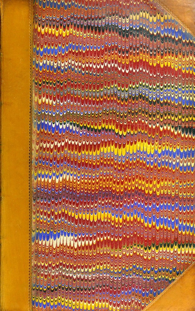 No text description is available for this image