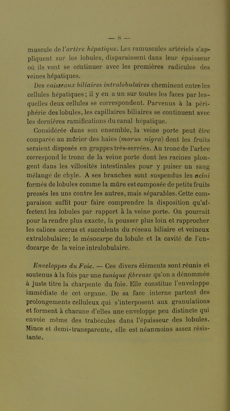 muscule de Vartère hépatique. Les minuscules artériels s'ap- pliquent sur les lobules, disparaissent dans leur épaisseur où ils vont se continuer avec les premières radicules des veines hépatiques. Des vaisseaux biliaires intralobulaires cheminent entre les cellules hépatiques ; il y en a un sur toutes les faces par les- quelles deux cellules se correspondent. Parvenus à la péri- phérie des lobules, les capillaires biliaires se continuent avec les dernières ramifications du canal hépatique. Considérée dans son ensemble, la veine porte peut être comparée au mûrier des haies (morus nigrà) dont les fruits seraient disposés en grappes très-serrées. Au tronc de l'arbre correspond le tronc de la veine porte dont les racines plon- gent dans les villosités intestinales pour y puiser un sang mélangé de chyle. A ses branches sont suspendus les acini formés de lobules comme la mûre est composée de petits fruits pressés les uns contre les autres, mais séparables. Cette com- paraison suffit pour faire comprendre la disposition qu'af- fectent les lobules par rapport à la veine porte. On pourrait pour la rendre plus exacte, Ja pousser plus loin et rapprocher les calices accrus et succulents du réseau biliaire et veineux extralobulaire; le mésocarpe du lobule et la cavité de l'en- docarpe de la veine intralobulaire. Enveloppes du Foie. — Ces divers éléments sont réunis et soutenus à la fois par une tunique fibreuse qu'on a dénommée à juste titre la charpente du foie. Elle constitue l'enveloppe immédiate de cet organe. De sa face interne partent des prolongements celluleux qui s'interposent aux granulations et forment à chacune d'elles une enveloppe peu distincte qui envoie même des trabécules dans l'épaisseur des lobules. Mince et demi-transparente, elle est néanmoins assez résis- tante.