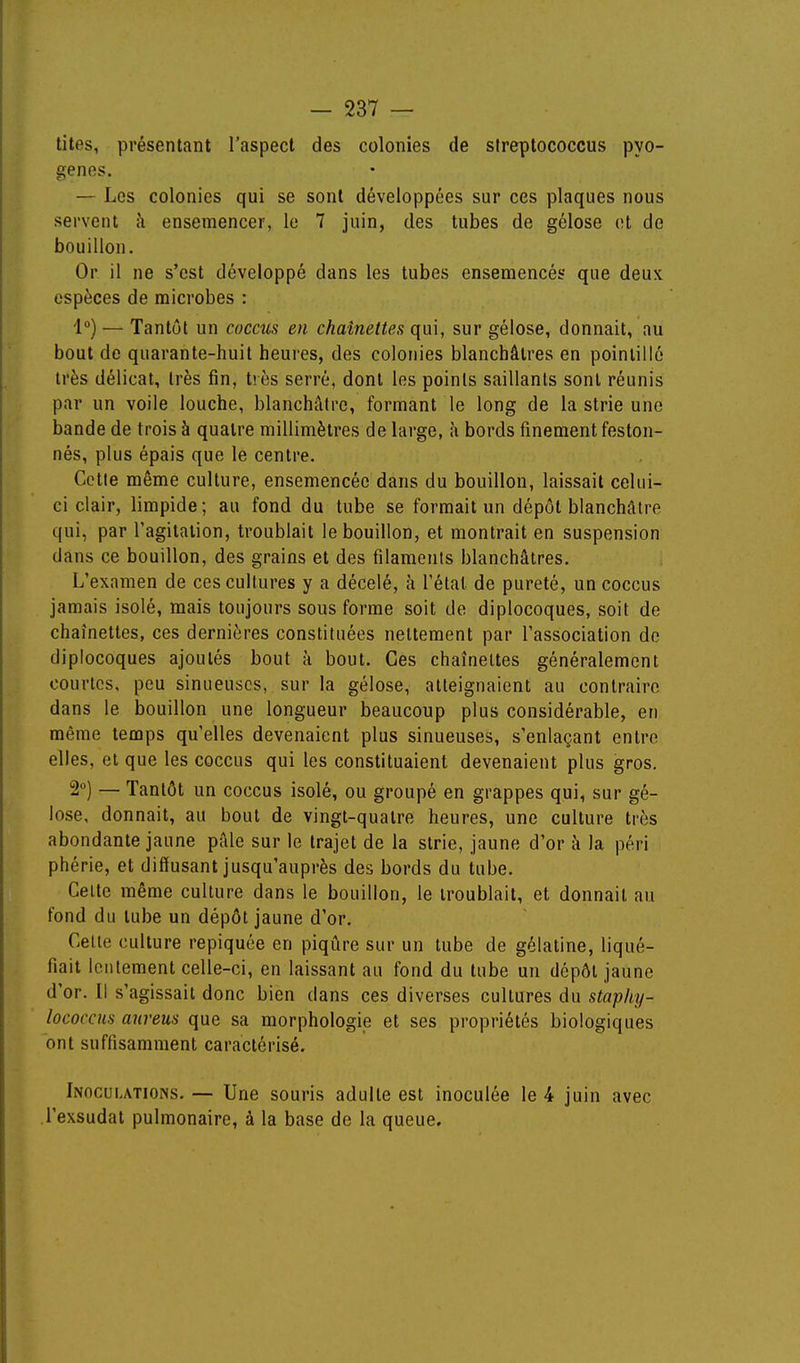 tiles, présentant l'aspect des colonies de streptococcus pyo- genes. — Les colonies qui se sont développées sur ces plaques nous servent à ensemencer, le 7 juin, des tubes de gélose et de bouillon. Or il ne s'est développé dans les tubes ensemencés que deux espèces de microbes : i°) — Tantôt un coccus en chaînettes qui, sur gélose, donnait, nu bout de quarante-huit heures, des colonies blanchâtres en pointillé très délicat, très fin, très serré, dont les points saillants sont réunis par un voile louche, blanchâtre, formant le long de la strie une bande de trois à quatre millimètres de large, h bords finement feston- nés, plus épais que le centre. Cctie même culture, ensemencée dans du bouillon, laissait celui- ci clair, limpide; au fond du tube se formait un dépôt blanchâtre qui, par l'agitation, troublait le bouillon, et montrait en suspension dans ce bouillon, des grains et des filaments blanchâtres. L'examen de ces cultures y a décelé, à l'état de pureté, un coccus jamais isolé, mais toujours sous forme soit de diplocoques, soit de chaînettes, ces dernières constituées nettement par l'association de diplocoques ajoutés bout à bout. Ces chaînettes généralement courtes, peu sinueuses, sur la gélose, atteignaient au contraire dans le bouillon une longueur beaucoup plus considérable, en même temps qu'elles devenaient plus sinueuses, s'enlaçant entre elles, et que les coccus qui les constituaient devenaient plus gros. 2°) — Tantôt un coccus isolé, ou groupé en grappes qui, sur gé- lose, donnait, au bout de vingt-quatre heures, une culture très abondante jaune pâle sur le trajet de la strie, jaune d'or à la péri phérie, et diffusant jusqu'auprès des bords du tube. Celte même culture dans le bouillon, le troublait, et donnait au fond du tube un dépôt jaune d'or. Celle culture repiquée en piqûre sur un tube de gélatine, liqué- fiait lentement celle-ci, en laissant au fond du tube un dépôt jaune d'or. Il s'agissait donc bien dans ces diverses cultures du staphy- lococcus anreus que sa morphologie et ses propriétés biologiques ont suffisamment caractérisé. Inoculations. — Une souris adulte est inoculée le 4 juin avec l'exsudat pulmonaire, à la base de la queue.