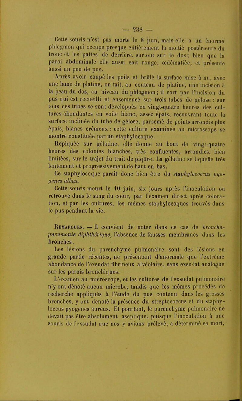 Celle souris n'est pas morle le 8 juin, mais elle a un énorme phlegmon qui occupe presque eiilièrement la moilié postérieure du tronc cl les pâlies de derrière, surtout sur le dos; bien que la paroi abdominale elle aussi soit rouge, œdémaliée, el présente aussi un peu de pus. Après avoir coupé les poils et brûlé la surface mise k nu, avec une lame de platine, on fait, au couteau de platine, une incision h la peau du dos, au niveau du phlegmon; il sort par l'incision du pus qui est recueilli et ensemencé sur trois tubes de gélose : sur tous ces tubes se sont développés en vingt-quatre heures des cul- tures abondantes en voile blanc, assez épais, recouvrant toute la surface inclinée du tube de gélose, parsemé de points arrondis plus épais, blancs crémeux : celle culture examinée au microscope se montre constituée par un staphylocoque. Repiquée sur gélatine, elle donne au bout de vingt-quatre heures des colonies blanches, très confluentes, arrondies, bien limitées, sur le trajet du trait de piqûre. La gélatine se liquéfie très lentement et progressivement de haut en bas. Ce staphylocoque paraît donc bien être du staphylococcus pyo- genes albus. Cette souris meurt le 10 juin, six jours après l'inoculation on retrouve dans le sang du cœur, par l'examen direct après colora- tion, et par les cultures, les mêmes staphylocoques trouvés dans le pus pendant la vie. Remarques. — 11 convient de noter dans ce cas de broncho- pneumonie diphtliérique, l'absence de fausses membranes dans les bronches. Les lésions du parenchyme pulmonaire sont des lésions en grande partie récentes, ne présentant d'anormale que l'extrême abondance de l'exsudat fibrineux alvéolaire, sans exsu'ial analogue sur les parois bronchiques. L'examen au microscope, el les cultures de l'exsudat pulmonaire n'y ont dénoté aucun microbe, tandis que les mêmes procédés de recherche appliqués à l'étude du pus contenu dans les grosses bronches, y ont dénoté la présence du streptococcus et du staphy- loccus pyogenes aureus. Et pourtant, le parenchyme pulmonaire ne devait pas être absolument aseptique, puisque l'inoculation à une souris de l'exsudat que nos y avions prélevé, a déterminé sa mort,
