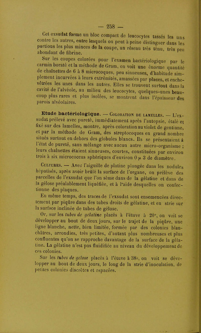 Gel exsudât forme un bloc compact do leucocytes tassés les uns contre les autres, entre lesquels on peut à peine distinguer dans les portions les plus minces de la coupe, un réseau très ténu, très peu abondant de fibrine. Sur les coupes colorées pour l'examen bactériologique par le carmin boraté et la méthode de Gram, on voit une énorme quantité de chaînettes de 6 à 8 microcoques, peu sinueuses, d'habitude sim- plement incurvées à leurs extrémités, amassées par places, et enche- vêtrées les unes dans les autres. Elles se trouvent surtout dans la cavité de l'alvéole, au milieu des leucocytes, quelques-unes beau- coup plus rares et plus isolées, se montrent dans l'épaisseur des parois alvéolaires. Etude bactériologique. — Goloration de lamelles. — L'ex- sudat prélevé avec pureté, immédiatement après l'autopsie, étalé et fixé sur des lamelles, montre, après coloration au violet de gentiane, et par la méthode de Gram, des streptocoques en grand nombre situés surtout en dehors des globules blancs. Ils se présentaient à l'état de pureté, sans mélange avec aucun autre micro-organisme ; leurs chaînettes étaient sinueuses, courtes, constituées par environ trois à six micrococcus sphériques d'environ Ofx 3 de diamètre. Cultures. — Avec l'aiguille de platine plongée dans les nodules hépatisés, après avoir brûlé la surface de l'organe, on prélève des parcelles de l'exsudat que l'on sème dans de la gélatine et dans de la gélose préalablement liquéfiée, et à l'aide desquelles on confec- tionne des plaques. En même temps, des traces de l'exsudat sont ensemencées direc- tement par piqûre dans des tubes droits de gélatine, et en strie sur la surface inclinée de tubes de gélose. Or, sur les tubes de gélatine placés à l'étuve à 20°, on voit se développer au bout de deux jours, sur le trajet de la piqûre, une ligne blanche, nette, bien limitée, formée par des colonies blan- châtres, arrondies, très petites, d'autant plus nombreuses et plus confluentes qu'on se rapproche davantage de la surface de la géla- tine. La gélatine n'est pas fluidifiée au niveau du développement de ces colonies. Sur les tubes de gélose placés à l'étuve à 38o, on voit se déve- lopper au bout de deux jours, le long de la strie d'inoculation, de petites colonies discrètes et espacées.