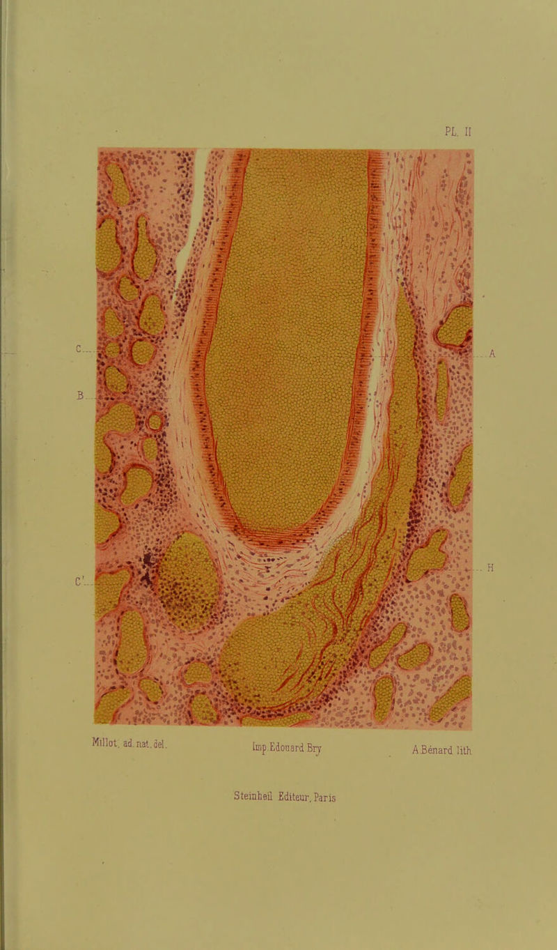 PL II C. Millol, ad.nal.del. Imp.Edouard Bry A Benard hlh