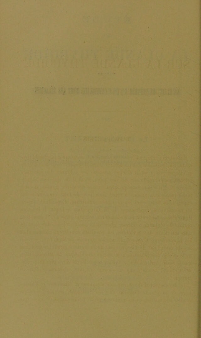 digitised image 2
