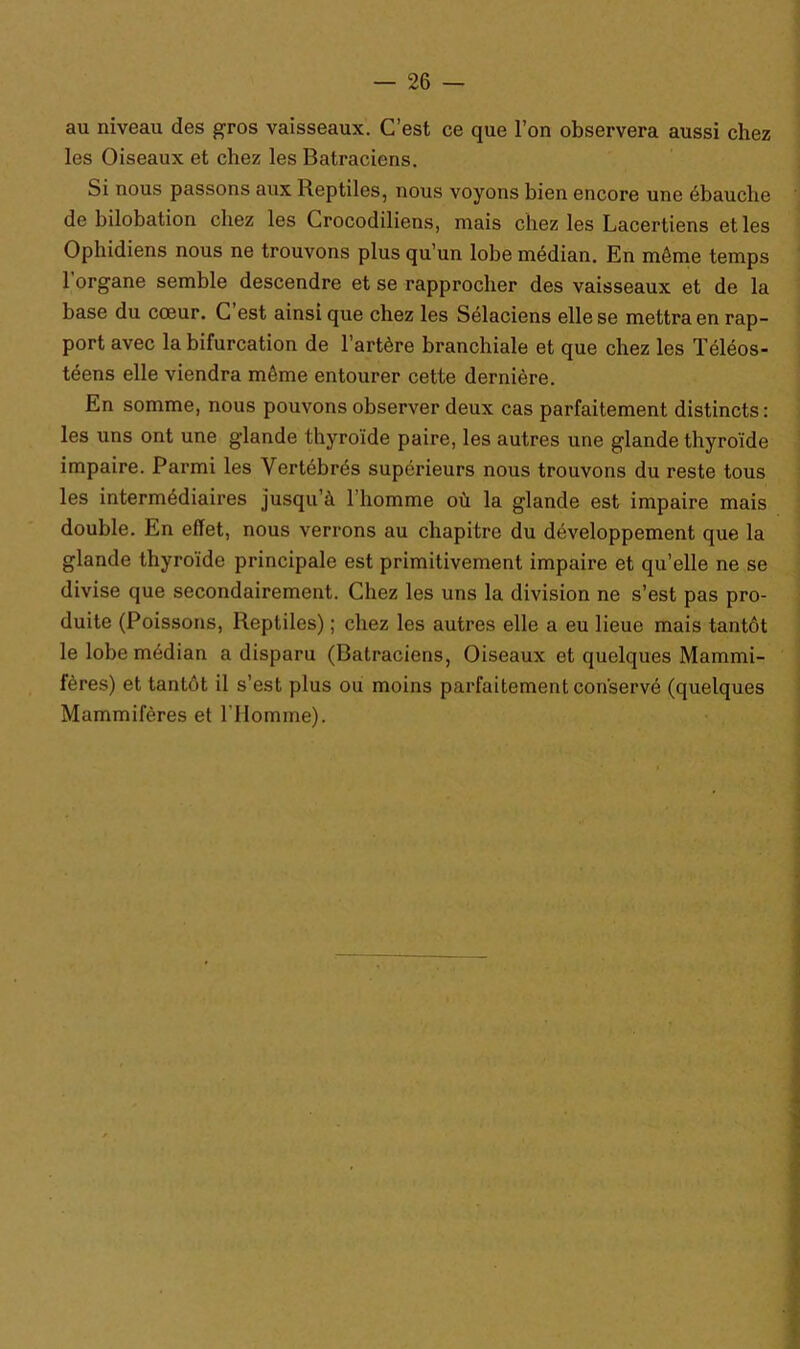 au niveau des gros vaisseaux. C’est ce que l’on observera aussi chez les Oiseaux et chez les Batraciens. Si nous passons aux Reptiles, nous voyons bien encore une ébauche de bilobation chez les Crocodiliens, mais chez les Lacertiens et les Ophidiens nous ne trouvons plus qu’un lobe médian. En môme temps l'organe semble descendre et se rapprocher des vaisseaux et de la base du cœur. C est ainsi que chez les Sélaciens elle se mettra en rap- port avec la bifurcation de l’artère branchiale et que chez les Téléos- téens elle viendra môme entourer cette dernière. En somme, nous pouvons observer deux cas parfaitement distincts: les uns ont une glande thyroïde paire, les autres une glande thyroïde impaire. Parmi les Vertébrés supérieurs nous trouvons du reste tous les intermédiaires jusqu’à l’homme où la glande est impaire mais double. En effet, nous verrons au chapitre du développement que la glande thyroïde principale est primitivement impaire et qu’elle ne se divise que secondairement. Chez les uns la division ne s’est pas pro- duite (Poissons, Reptiles) ; chez les autres elle a eu lieue mais tantôt le lobe médian a disparu (Batraciens, Oiseaux et quelques Mammi- fères) et tantôt il s’est plus ou moins parfaitement conservé (quelques Mammifères et l’Homme).