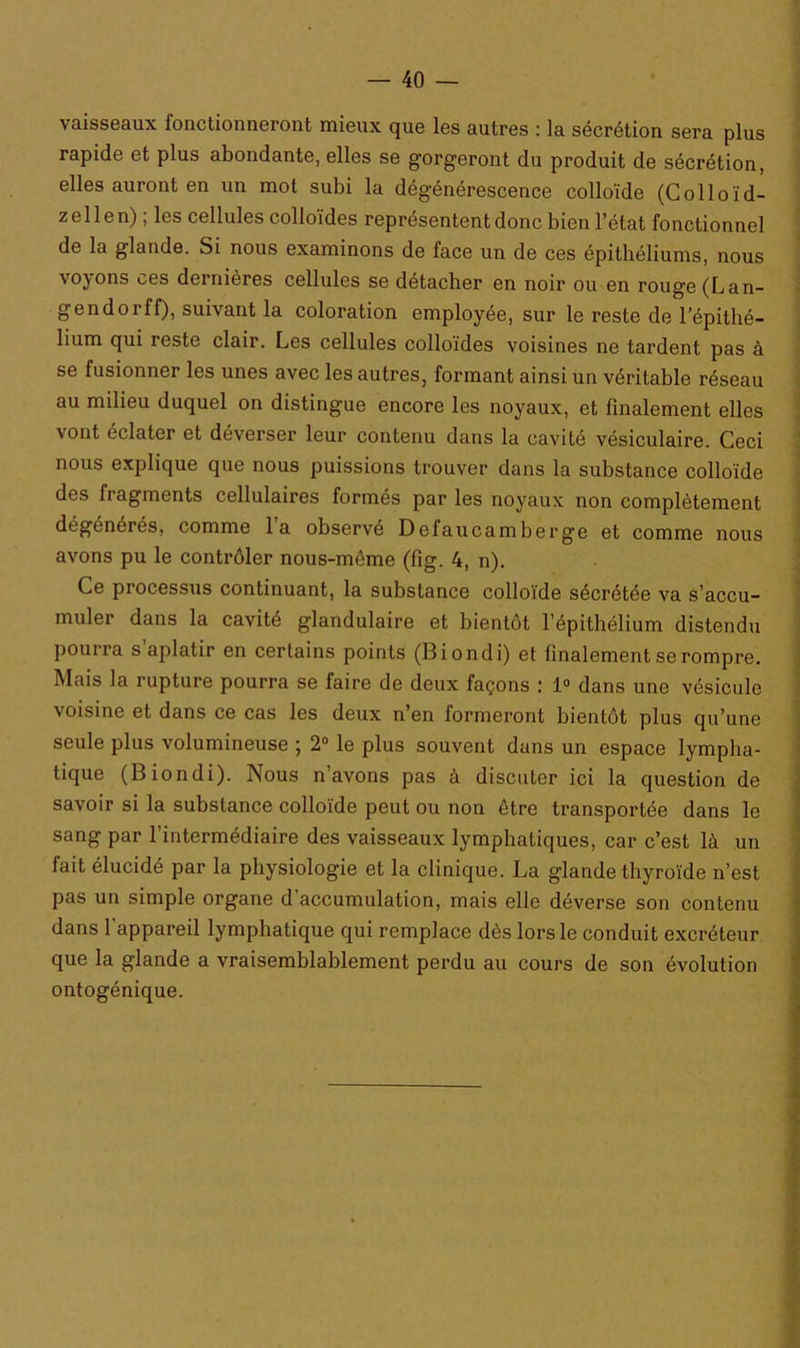 vaisseaux fonctionneront mieux que les autres : la sécrétion sera plus rapide et plus abondante, elles se gorgeront du produit de sécrétion, elles auront en un mot subi la dégénérescence colloïde (Colloïd- zellen) ; les cellules colloïdes représentent donc bien l’état fonctionnel de la glande. Si nous examinons de face un de ces épithéliums, nous voyons ces dernières cellules se détacher en noir ou en rouge (Lan- gendorff), suivant la coloration employée, sur le reste de l’épithé- lium qui reste clair. Les cellules colloïdes voisines ne tardent pas à se fusionner les unes avec les autres, formant ainsi un véritable réseau au milieu duquel on distingue encore les noyaux, et finalement elles vont éclater et déverser leur contenu dans la cavité vésiculaire. Ceci nous explique que nous puissions trouver dans la substance colloïde des fragments cellulaires formés par les noyaux non complètement dégénérés, comme la observé Defaucamberge et comme nous avons pu le contrôler nous-mème (fig. 4, n). Ce processus continuant, la substance colloïde sécrétée va s’accu- muler dans la cavité glandulaire et bientôt l’épithélium distendu pourra s’aplatir en certains points (Biondi) et finalement se rompre. Mais la rupture pourra se faire de deux façons : 1° dans une vésicule voisine et dans ce cas les deux n’en formeront bientôt plus qu’une seule plus volumineuse ; 2° le plus souvent dans un espace lympha- tique (Biondi). Nous n’avons pas à discuter ici la question de savoir si la substance colloïde peut ou non être transportée dans le sang par l’intermédiaire des vaisseaux lymphatiques, car c’est là un fait élucidé par la physiologie et la clinique. La glande thyroïde n’est pas un simple organe d’accumulation, mais elle déverse son contenu dans l’appareil lymphatique qui remplace dès lors le conduit excréteur que la glande a vraisemblablement perdu au cours de son évolution ontogénique.