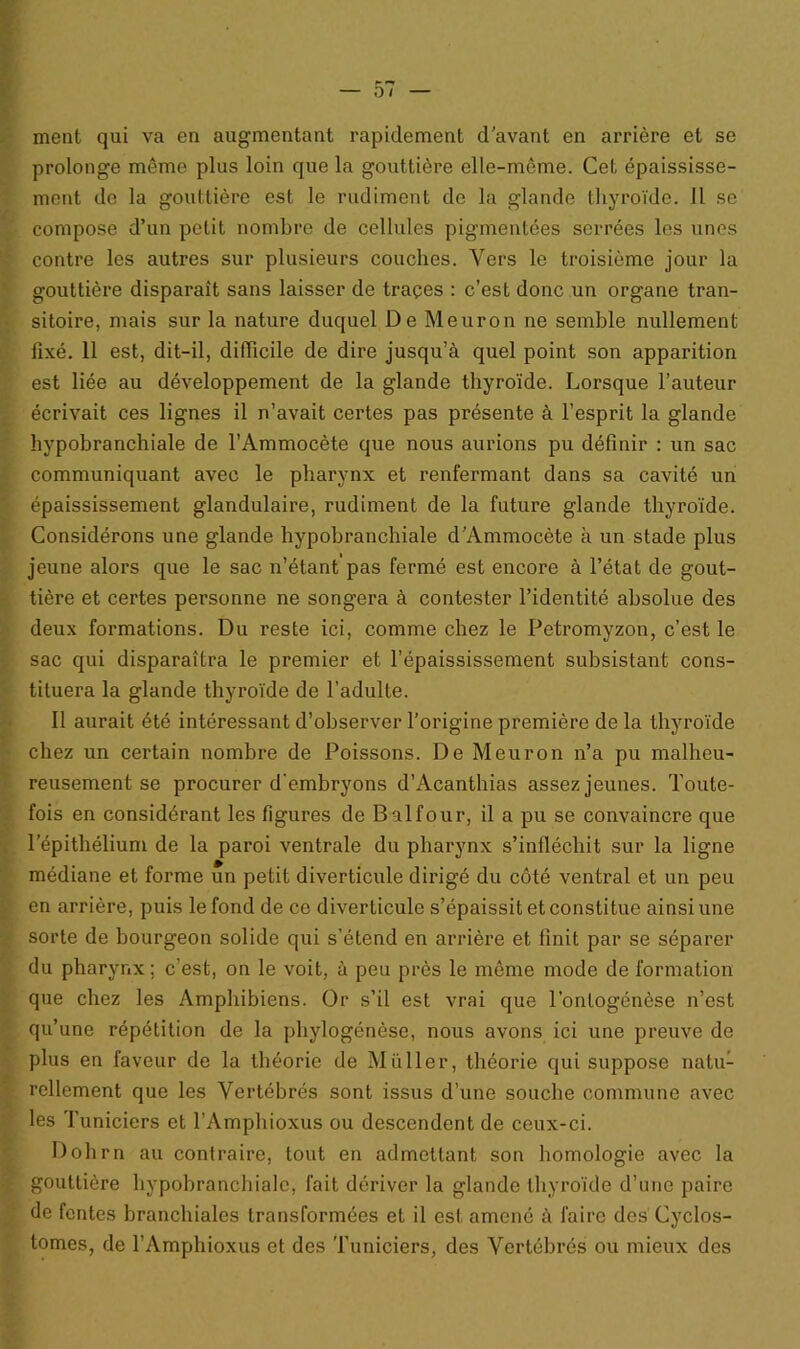 ment qui va en augmentant rapidement d’avant en arrière et se prolonge même plus loin que la gouttière elle-même. Cet épaississe- ment de la gouttière est le rudiment de la glande thyroïde. Il se compose d’un petit nombre de cellules pigmentées serrées les unes contre les autres sur plusieurs couches. Vers le troisième jour la gouttière disparaît sans laisser de traçes : c’est donc un organe tran- sitoire, mais sur la nature duquel De Meuron ne semble nullement fixé. 11 est, dit-il, difficile de dire jusqu’à quel point son apparition est liée au développement de la glande thyroïde. Lorsque l’auteur écrivait ces lignes il n’avait certes pas présente à l’esprit la glande hvpobranchiale de l’Ammocète que nous aurions pu définir : un sac communiquant avec le pharynx et renfermant dans sa cavité un épaississement glandulaire, rudiment de la future glande thyroïde. Considérons une glande hypobranchiale d'Ammocète à un stade plus jeune alors que le sac n’étant pas fermé est encore à l’état de gout- tière et certes personne ne songera à contester l’identité absolue des deux formations. Du reste ici, comme chez le Petromyzon, c’est le sac qui disparaîtra le premier et l’épaississement subsistant cons- tituera la glande thyroïde de l’adulte. Il aurait été intéressant d’observer l’origine première de la thyroïde chez un certain nombre de Poissons. De Meuron n’a pu malheu- reusement se procurer d’embryons d’Acanthias assez jeunes. Toute- fois en considérant les figures de B al four, il a pu se convaincre que l’épithélium de la paroi ventrale du pharynx s’infléchit sur la ligne médiane et forme un petit diverticule dirigé du côté ventral et un peu en arrière, puis le fond de ce diverticule s’épaissit et constitue ainsi une sorte de bourgeon solide qui s’étend en arrière et finit par se séparer du pharynx; c’est, on le voit, à peu près le même mode de formation que chez les Amphibiens. Or s’il est vrai que l’ontogénèse n’est qu’une répétition de la phylogénèse, nous avons ici une preuve de plus en faveur de la théorie de Millier, théorie qui suppose natu- rellement que les Vertébrés sont issus d’une souche commune avec les Tuniciers et l’Amphioxus ou descendent de ceux-ci. Dohrn au contraire, tout en admettant son homologie avec la gouttière hypobranchiale, fait dériver la glande thyroïde d’une paire de fentes branchiales transformées et il est amené à faire des Cyclos- tomes, de l’Amphioxus et des Tuniciers, des Vertébrés ou mieux des