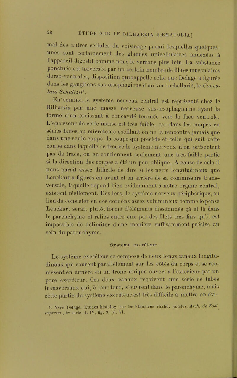 mal des autres cellules du voisinage parmi lesquelles quelques- unes sont certainement des glandes uniccllulaires annexées à l'appareil digestif comme nous le verrons plus loin. La substance ponctuée est traversée par un certain nombre de fibres musculaires dorso-ventrales, disposition qui rappelle celle que Delage a figurée dans les ganglions sus-œsophagiens d'un ver turbellarié, le Convo- lula Schultzii\ En-somme, le système nerveux central est représenté chez le Bilharzia par une masse nerveuse sus-œsophagienne ayant la forme d'un croissant à concavité tournée vers la face ventrale. L'épaisseur de cette masse est très faible, car dans les coupes en séries faites au microtome oscillant on ne la rencontre jamais que dans une seule coupe, la coupe qui précède et celle qui suit cette coupe dans laquelle se trouve le système nerveux n'en présentent pas de trace, ou en contiennent seulement une très faible partie si la direction des coupes a été un peu oblique. A cause de cela il nous paraît assez difficile de dire si les nerfs longitudinaux que Leuckart a figurés en avant et en arrière de sa commissure trans- versale, laquelle répond bien évidemment à notre organe central, existent réellement. Dès lors, le système nerveux périphérique, au lieu de consister en des cordons assez volumineux comme le pense Leuckart serait plutôt formé d'éléments disséminés çà et là dans le parenchyme et reliés entre eux par des filets très fins qu'il est impossible de délimiter d'une manière suffisamment précise au sein du parenchyme. Système excréteur. Le système excréteur se compose de deux longs canaux longitu- dinaux qui courent parallèlement sur les côtés du corps et se réu- nissent en arrière en un tronc unique ouvert à l'extérieur par un pore excréteur. Ces deux canaux reçoivent une série de tubes transversaux qui, à leur tour, s'ouvrent dans le parenchyme, mais cette partie du système excréteur est très difficile à mettre en évi- 1. Yves Delage. Études histolog. sur les Planaires rhabd. acœles. Arch. de Zool expérim., 2 série, t. IV, flg. 9, pl- VI.