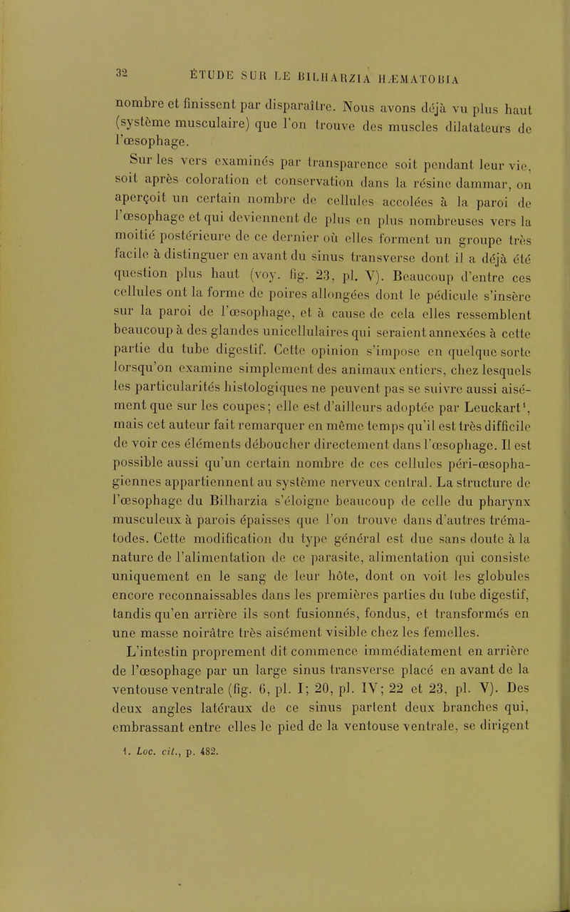 nombre et finissent par disparaître. Nous avons déjà vu plus haut (système musculaire) que l'on trouve des muscles dilatateurs de l'œsophage. Sur les vers examinés par transparence soit pendant leur vie, soit après coloration et conservation dans la résine dammar, on aperçoit un certain nombre de cellules accolées à la paroi de l'œsophage et qui deviennent de plus en plus nombreuses vers la moitié postérieure de ce dernier où elles forment un groupe très facile à distinguer en avant du sinus transverse dont il a déjà été question plus haut (voy. fig. 23, pl. Y). Beaucoup d'entre ces cellules ont la forme de poires allongées dont le pédicule s'insère sur la paroi de l'œsophage, et à cause de cela elles ressemblent beaucoup à des glandes unicellulaires qui seraient annexées à cette partie du tube digestif. Cette opinion s'impose en quelque sorte lorsqu'on examine simplement des animaux entiers, chez lesquels les particularités liistologiques ne peuvent pas se suivre aussi aisé- ment que sur les coupes; elle est d'ailleurs adoptée par Leuckart*, mais cet auteur fait remarquer en même temps qu'il est très difficile de voir ces éléments déboucher directement dans l'œsophage. Il est possible aussi qu'un certain nombre de ces cellules péri-œsopha- giennes appartiennent au système nerveux central. La structure de l'œsophage du Bilharzia s'éloigne beaucoup de celle du pharynx musculeux à parois épaisses que l'on trouve dans d'autres tréma- todes. Cette modification du type général est due sans doute à la nature de l'alimentation de ce parasite, alimentation qui consiste uniquement en le sang de leur hôte, dont on voit les globules encore reconnaissables dans les premières parties du (ube digestif, tandis qu'en arrière ils sont fusionnés, fondus, et transformés en une masse noirâtre très aisément visible chez les femelles. L'intestin proprement dit commence immédiatement en arrière de l'œsophage par un large sinus transverse placé en avant de la ventouse ventrale (fig. G, pl. I; 20, pl. IV; 22 et 23, pl. V). Des deux angles latéraux de ce sinus parlent deux branches qui, embrassant entre elles le pied de la ventouse ventrale, se dirigent \. Loc. cit., p. 482.