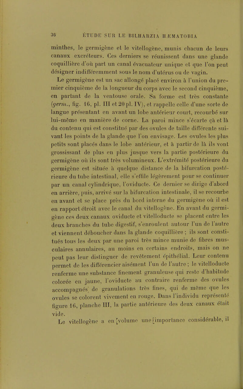 minthes, le germigène et le vitellogène, munis chacun de leurs canaux excréteurs. Ces derniers se réunissent dans une glande coquillière d'où part un canal évacuateur unique et que l'on peut désigner indinercmment sous le nom d'utérus ou de vagin. Le germigène est un sac allongé placé environ à l'union du pre- mier cinquième de la longueur du corps avec le second cinquième, en partant de la ventouse orale. Sa forme est très constante {germ.^ fig. 16, pl. III et 20 pl. IV), et rappelle celle d'une sorte de langue présentant en avant un lobe antérieur court, recourbé sur lui-même en manière de corne. La paroi mince s'écarte çà et là du contenu qui est constitué par des ovules de taille difTércnte sui- vant les points de la glande que l'on envisage. Les ovules les plus petits sont placés dans le lobe antérieur, et à partir de là ils vont grossissant de plus en plus jusque vers la partie postérieure du germigène oii ils sont très volumineux. L'extrémité postérieure du germigène est située à quelque distance de la bifurcation posté- rieure du tube intestinal, elle s'effile légèrement pour se continuer par un canal cylindrique, l'oviducte. Ce dernier se dirige d'abord en arrière, puis, arrivé sur la bifurcation intestinale, il se recourbe en avant et se place près du bord interne du germigène oii il est en rapport étroit avec le canal du vitellogène. En avant du germi- gène ces deux canaux oviducte et vitelloducte se placent entre les deux branches du tube digestif, s'enroulent autour l'un de l'autre et viennent déboucher dans la glande coquillière ; ils sont consti- tués tous les deux par une paroi très mince munie de fibres mus- culaires annulaires, au moins en certains endroits, mais on ne peut pas leur distinguer de revêtement épithélial. Leur contenu permet de les difCérencier aisément l'un de l'autre ; le vitelloducte renferme une substance finement granuleuse qui reste d'habitude colorée en jaune, l'oviducte au contraire renferme des ovules accompagnés de granulations très fines, qui de môme que les ovules se colorent vivement en rouge. Dans l'individu représenté figure 16, planche HT, la partie antérieure des deux canaux était vide. Le vitellogène a en [volume une [importance considérable, il
