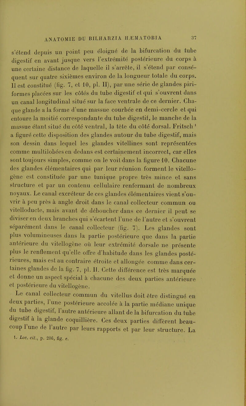 s'étend depuis un point peu éloigné de la bifurcation du tube digestif en avant jusque vers l'extrémité postérieure du corps à une certaine distance de laquelle il s'arrête, il s'étend par consé- quent sur quatre sixièmes environ de la longueur totale du corps. Il est constitué (fig. 7, et 10, pl. II), par une série de glandes piri- fornies placées sur les côtés du tube digestif et qui s'ouvrent dans un canal longitudinal situé sur la face ventrale de ce dernier. Cha- que glande a la forme d'une massue courbée en demi-cercle et qui entoure la moitié correspondante du tube digestif, le manche de la massue étant situé du côté ventral, la tête du côté dorsal. Fritsch ' a figuré cette disposition des glandes autour du tube digestif, mais son dessin dans lequel les glandes vitellines sont représentées comme multilobées en dedans est certainement incorrect, car elles sont toujours simples, comme on le voit dans la figure 10. Chacune des glandes élémentaires qui par leur réunion forment le vitello- gène est constituée par une tunique propre très mince et sans structure et par un contenu cellulaire renfermant de nombreux noyaux. Le canal excréteur de ces glandes élémentaires vient s'ou- vrir à peu près à angle droit dans le canal collecteur commun ou vitelloducte, mais avant de déboucher dans ce dernier il peut se diviser en deux branches qui s'écartent l'une de l'autre et s'ouvrent séparément dans le canal collecteur (fig. 7). Les glandes sont plus volumineuses dans la partie postérieure que dans la partie antérieure du vilellogène où leur extrémité dorsale ne présente plus le renflement qu'elle offre d'habitude dans les glandes posté- rieures, mais est au contraire étroite et allongée comme dans cer- taines glandes de la fig. 7, pl. II. Cette diflerence est très marquée et donne un aspect spécial à chacune des deux parties antérieure et postérieure du vilellogène. Le canal collecteur commun du vitellus doit être distingué en deux parties, l'une postérieure accolée à la partie médiane unique du tube digestif, l'autre antérieure allant de la bifurcation du tube digestif à la glande coquilliôre. Ces deux parties dilfèrent beau- coup l'une de l'autre par leurs rapports et par leur structure. La