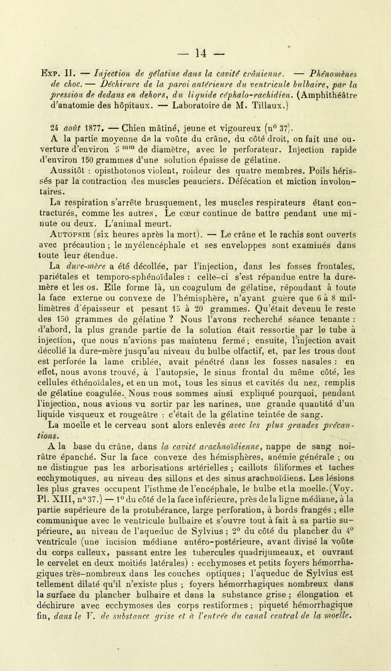 — 14 — Exp. II. — Injection de gélatine dans la cavité crânienne. — Phénomènes de choc. — Déchirure de la paroi antérieure du ventricule bulbaire, par la pression de dedans en dehors, du liquide céphalo-rachidien. (Amphithéâtre d’anatomie des hôpitaux. — Laboratoire de M. Tillaux.) 24 août 1877. — Chien mâtiné, jeune et vigoureux (n° 37). A la partie moyenne de la voûte du crâne, du côté droit, on fait une ou- verture d’environ S mm de diamètre, avec le perforateur. Injection rapide d’environ 150 grammes d’une solution épaisse de gélatine. Aussitôt : opisthotonos violent, roideur des quatre membres. Poils héris- sés par la contraction des muscles peauciers. Défécation et miction involon- taires. La respiration s’arrête brusquement, les muscles respirateurs étant con- tracturés, comme les autres. Le cœur continue de battre pendant une mi- nute ou deux. L’animal meurt. Autopsie (six heures après la mort). — Le crâne et le rachis sont ouverts avec précaution ; le myélencéphale et ses enveloppes sont examinés dans toute leur étendue. La dure-mère a été décollée, par l’injection, dans les fosses frontales, pariétales et temporo-sphénoïdales : celle-ci s’est répandue entre la dure- mère et les os. Elle forme là, un coagulum de gélatine, répondant à toute la face externe ou convexe de l’hémisphère, n’ayant guère que 6 à 8 mil- limètres d'épaisseur et pesant 15 à 20 grammes. Qu'était devenu le reste des 150 grammes de gélatine ? Nous l’avons recherché séance tenante : d’abord, la plus grande partie de la solution était ressortie par le tube à injection, que nous n’avions pas maintenu fermé ; ensuite, l'injection avait décollé la dure-mère jusqu’au niveau du bulbe olfactif, et, par les trous dont est perforée la lame criblée, avait pénétré dans les fosses nasales : en effet, nous avons trouvé, à l’autopsie, le sinus frontal du même côté, les cellules éthénoïdales, et en un mot, tous les sinus et cavités du nez, remplis de gélatine coagulée. Nous nous sommes ainsi expliqué pourquoi, pendant l’injection, nous avions vu sortir par les narines, une grande quantité d’un liquide visqueux et rougeâtre : c’était de la gélatine teintée de sang. La moelle et le cerveau sont alors enlevés avec les plus grandes précau- tions. A la base du crâne, dans la cavité arachnoïdienne, nappe de sang noi- râtre épanché. Sur la face convexe des hémisphères, anémie générale ; on ne distingue pas les arborisations artérielles ; caillots filiformes et taches ecchymotiques, au niveau des sillons et des sinus arachnoïdiens. Les lésions les plus graves occupent l’isthme de l’encéphale, le bulbe et la moelle.(Voy. PL XIII, n°37.) — l°du côté delà face inférieure, près delà ligne médiane, à la partie supérieure de la protubérance, large perforation, à bords frangés ; elle communique avec le ventricule bulbaire et s’ouvre tout à fait à sa partie su- périeure, au niveau de l’aqueduc de Sylvius ; 2° du côté du plancher du 4° ventricule (une incision médiane antéro-postérieure, avant divisé la voûte du corps calleux, passant entre les tubercules quadrijumeaux, et ouvrant le cervelet en deux moitiés latérales) : ecchymoses et petits foyers hémorrha- giques très-nombreux dans les couches optiques; l’aqueduc de Sylvius est tellement dilaté qu’il n’existe plus ; foyers hémorrhagiques nombreux dans la surface du plancher bulbaire et dans la substance grise ; élongation et déchirure avec ecchymoses des corps restiformes ; piqueté hémorrhagique