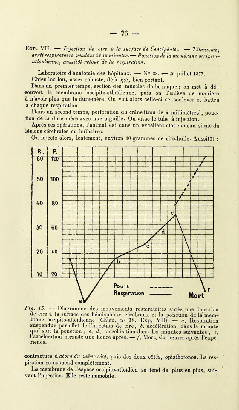 Exp. VII. — Injection de cire à la, surface de l'encéphale. — Tétanisme, arrêt respiratoire pendant deux minutes-—Ponction de la membrane occipilo- atloïdienne, aussitôt retour de la respiration. Laboratoire d’anatomie des hôpitaux. — N° 38. — 26 juillet 1877. Chien lou-lou, assez robuste, déjà âgé, bien portant. Dans un premier temps, section des muscles de la nuque; on met à dé- couvert la membrane occipito-atloïdienne, puis on l’enlève de manière à n’avoir plus que la dure-mère. On voit alors celle-ci se soulever et battre à chaque respiration. Dans un second temps, perforation du crâne (trou de 4 millimètres), ponc- tion de la dure-mère avec uue aiguille. On visse le tube à injection. Après ces opérations, l’animal est dans un excellent état : aucun signe de lésions cérébrales ou bulbaires. On injecte alors, lentement, environ 10 grammes de cire-huile. Aussitôt : R. W S0 vo 30 20 10 P 120 100 80 60 <►0 20 | r — — / / e / / — e -- A <z -- f — 6 V Pouls Respiration Mort «r Fig. 13. — Diagramme des mouvements respiratoires après une injection de cire à la surface des hémisphères cérébraux et la ponction de la mem- brane occipito-atloïdienne (Chien, n° 38. Exp. VII). — a. Respiration suspendue par effet de l’injection de cire; b, accélération, dans la minute qui suit la ponction ; c, d, accélération dans les minutes suivantes ; e. 1 accélération persiste une heure après. — f. Mort, six heures après l’expé- rience. contracture d’abord du même côté, puis des deux côtés, opisthotonos. La res- piration se suspend complètement. La membrane de l’espace occipito-atloïdien se tend de plus en plus, sui- vant l’injection. Elle reste immobile.