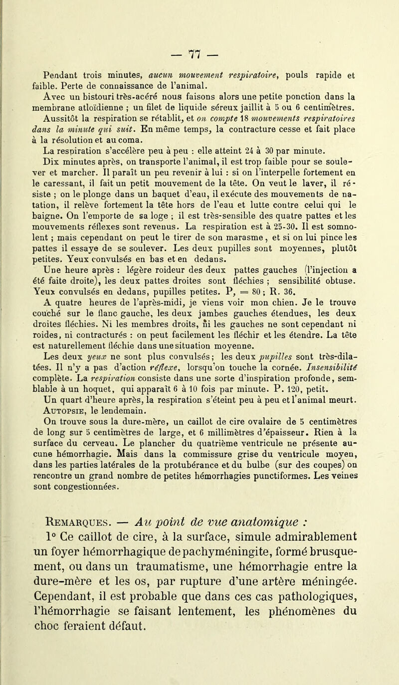 Pendant trois minutes, aucun mouvement respiratoire, pouls rapide et faible. Perte de connaissance de l’animal. Avec un bistouri très-acéré nous faisons alors une petite ponction dans la membrane atloïdienne ; un filet de liquide séreux jaillit à 5 ou 6 centimètres. Aussitôt la respiration se rétablit, et on compte 18 mouvements respiratoires dans la minute qui suit. En même temps, la contracture cesse et fait place à la résolution et au coma. La respiration s’accélère peu à peu : elle atteint 24 à 30 par minute. Dix minutes après, on transporte l’animal, il est trop faible pour se soule- ver et marcher. Il paraît un peu revenir à lui : si on l’interpelle fortement en le caressant, il fait un petit mouvement de la tête. On veut le laver, il ré- siste ; on le plonge dans un baquet d’eau, il exécute des mouvements de na- tation, il relève fortement la tête hors de l’eau et lutte contre celui qui le baigne. On l’emporte de sa loge ; il est très-sensible des quatre pattes et les mouvements réflexes sont revenus. La respiration est à 25-30. Il est somno- lent ; mais cependant on peut le tirer de son marasme, et si on lui pince les pattes il essaye de se soulever. Les deux pupilles sont moyennes, plutôt petites. Yeux convulsés en bas et en dedans. Une heure après : légère roideur des deux pattes gauches (l’injection a été faite droite), les deux pattes droites sont fléchies ; sensibilité obtuse. Yeux convulsés en dedans, pupilles petites. P, = 80; R. 36. A quatre heures de l’après-midi, je viens voir mon chien. Je le trouve couché sur le flanc gauche, les deux jambes gauches étendues, les deux droites fléchies. Ni les membres droits, ni les gauches ne sont cependant ni roides, ni contracturés : on peut facilement les fléchir et les étendre. La tête est naturellement fléchie dans une situation moyenne. Les deux yeux ne sont plus convulsés; les deux pupilles sont très-dila- tées. Il n’y a pas d’action réflexe, lorsqu’on touche la cornée. Insensibilité complète. La respiration consiste dans une sorte d’inspiration profonde, sem- blable à un hoquet, qui apparaît 6 à 10 fois par minute. P. 120, petit. Un quart d’heure après, la respiration s’éteint peu à peu et l’animal meurt. Autopsie, le lendemain. On trouve sous la dure-mère, un caillot de cire ovalaire de 5 centimètres de long sur 5 centimètres de large, et 6 millimètres d’épaisseur. Rien à la surface du cerveau. Le plancher du quatrième ventricule ne présente au- cune hémorrhagie. Mais dans la commissure grise du ventricule moyen, dans les parties latérales de la protubérance et du bulbe (sur des coupes) on rencontre un grand nombre de petites hémorrhagies punctiformes. Les veines sont congestionnées. Remarques. — Au point de vue anatomique : 1° Ce caillot de cire, à la surface, simule admirablement un foyer hémorrhagique de pachyméningite, formé brusque- ment, ou dans un traumatisme, une hémorrhagie entre la dure-mère et les os, par rupture d’une artère méningée. Cependant, il est probable que dans ces cas pathologiques, l’hémorrhagie se faisant lentement, les phénomènes du choc feraient défaut.