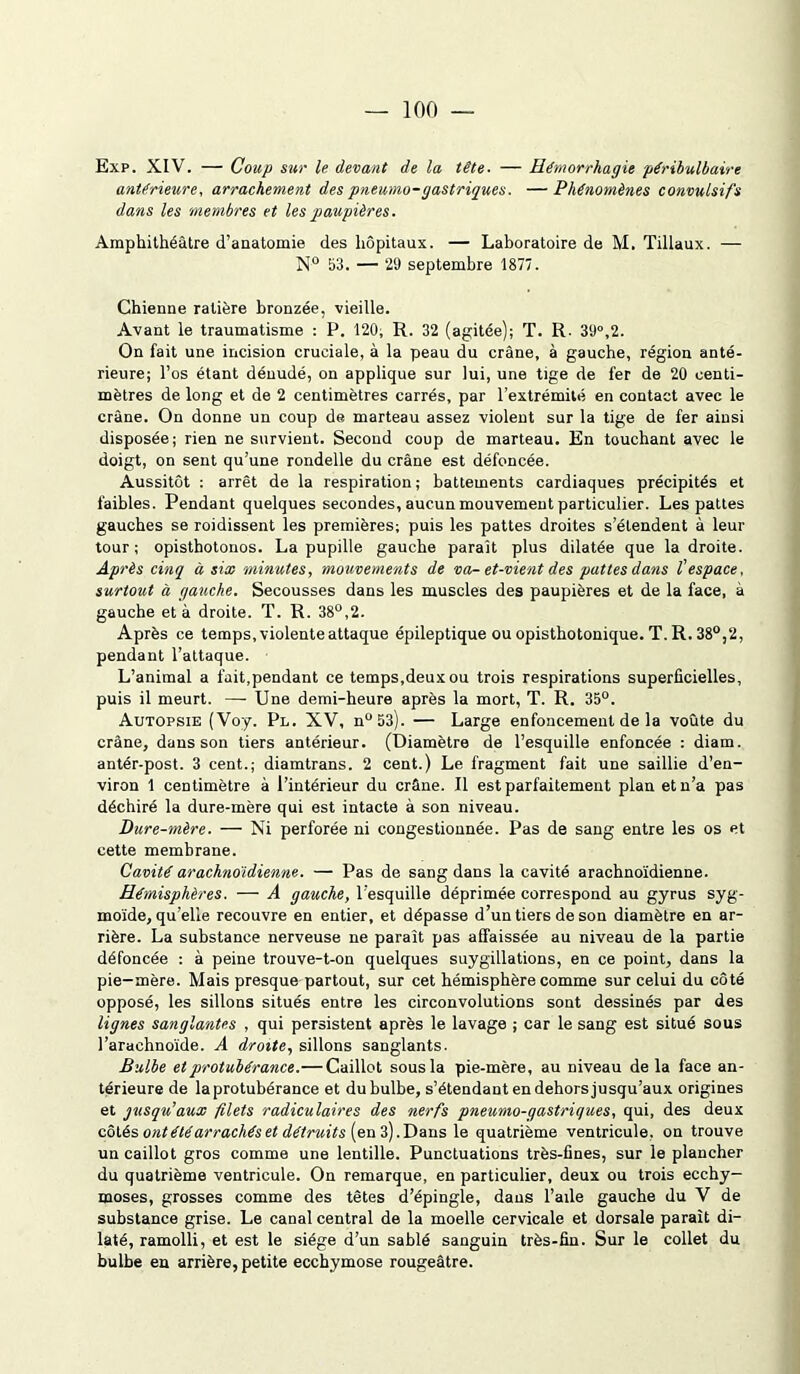 Exp. XIV. — Coup sur le devant de la tête. — Hémorrhagie péribulbaire antérieure, arrachement des pneumo-gastriques. — Phénomènes convulsifs dans les membres et les paupières. Amphithéâtre d’anatomie des hôpitaux. — Laboratoire de M. Tillaux. — N° 53. — 29 septembre 1877. Chienne ratière bronzée, vieille. Avant le traumatisme : P. 120, R. 32 (agitée); T. R. 39°,2. On fait une incision cruciale, à la peau du crâne, à gauche, région anté- rieure; l’os étant dénudé, on applique sur lui, une tige de fer de 20 centi- mètres de long et de 2 centimètres carrés, par l’extrémité en contact avec le crâne. On donne un coup de marteau assez violent sur la tige de fer ainsi disposée; rien ne survient. Second coup de marteau. En touchant avec le doigt, on sent qu’une rondelle du crâne est défoncée. Aussitôt : arrêt de la respiration ; battements cardiaques précipités et faibles. Pendant quelques secondes, aucun mouvement particulier. Les pattes gauches se roidissent les premières; puis les pattes droites s’étendent à leur tour; opisthotonos. La pupille gauche parait plus dilatée que la droite. Après cinq à six minutes, mouvements de va- et-vient des pattes dans f espace, surtout à gauche. Secousses dans les muscles des paupières et de la face, à gauche et à droite. T. R. 38°,2. Après ce temps, violente attaque épileptique ou opisthotonique. T. R. 38°,2, pendant l’attaque. L’animal a fait,pendant ce temps,deux ou trois respirations superficielles, puis il meurt. — Une demi-heure après la mort, T. R. 35°. Autopsie (Voy. Pl. XV, n“53). — Large enfoncement de la voûte du crâne, dans son tiers antérieur. (Diamètre de l’esquille enfoncée : diam. antér-post. 3 cent.; diamtrans. 2 cent.) Le fragment fait une saillie d’en- viron 1 centimètre à l’intérieur du crâne. Il est parfaitement plan et n’a pas déchiré la dure-mère qui est intacte à son niveau. Dure-mère. — Ni perforée ni congestionnée. Pas de sang entre les os et cette membrane. Cavité arachnoïdienne. — Pas de sang dans la cavité arachnoïdienne. Hémisphères. — A gauche, l’esquille déprimée correspond au gyrus syg- moïde, qu’elle recouvre en entier, et dépasse d’un tiers de son diamètre en ar- rière. La substance nerveuse ne paraît pas affaissée au niveau de la partie défoncée : à peine trouve-t-on quelques suygillations, en ce point, dans la pie-mère. Mais presque partout, sur cet hémisphère comme sur celui du côté opposé, les sillons situés entre les circonvolutions sont dessinés par des lignes sanglantes , qui persistent après le lavage ; car le sang est situé sous l’arachnoïde. A droite, sillons sanglants. Bulbe et protubérance.— Caillot sous la pie-mère, au niveau delà face an- térieure de la protubérance et duhulbe, s’étendant en dehors jusqu’aux origines et jusqu'aux filets radiculaires des nerfs pneumo-gastriques, qui, des deux côtés ont été arrachés et détruits (en 3).Dans le quatrième ventricule, on trouve un caillot gros comme une lentille. Punctuations très-fines, sur le plancher du quatrième ventricule. On remarque, en particulier, deux ou trois ecchy- moses, grosses comme des têtes d’épingle, dans l’aile gauche du V de substance grise. Le canal central de la moelle cervicale et dorsale paraît di- laté, ramolli, et est le siège d’un sablé sanguin très-fin. Sur le collet du bulbe en arrière, petite ecchymose rougeâtre.