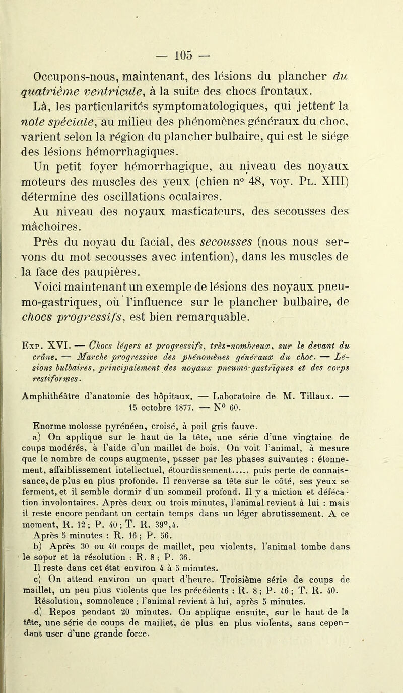 Occupons-nous, maintenant, des lésions du plancher du quatrième ventricule, à la suite des chocs frontaux. Là, les particularités symptomatologiques, qui jettent'la note spèciale, au milieu des phénomènes généraux du choc, varient selon la région du plancher bulbaire, qui est le siège des lésions hémorrhagiques. Un petit foyer hémorrhagique, au niveau des noyaux moteurs des muscles des yeux (chien n° 48, vov. Pl. XIII) détermine des oscillations oculaires. Au niveau des noyaux masticateurs, des secousses des mâchoires. Près du noyau du facial, des secousses (nous nous ser- vons du mot secousses avec intention), dans les muscles de la face des paupières. Voici maintenant un exemple de lésions des noyaux pneu- mo-gastriques, où l’influence sur le plancher bulbaire, de chocs progressifs, est bien remarquable. Exp. XVI. — Chocs légers et progressifs, très-nombreux, sur le devant du crâne. — Marche progressive des phénomènes généraux du choc. — Lé- sions bulbaires, principalement des noyaux pneumo-gastriques et des corps restiformes. Amphithéâtre d’anatomie des hôpitaux. —- Laboratoire de M. Tillaux. — 15 octobre 1877. — N° 60. Enorme molosse pyrénéen, croisé, à poil gris fauve. a) On applique sur le haut de la tête, une série d’une vingtaine de coups modérés, à l’aide d’un maillet de bois. On voit l’animal, à mesure que le nombre de coups augmente, passer par les phases suivantes : étonne- ment, affaiblissement intellectuel, étourdissement puis perte de connais- sance, de plus en plus profonde. Il renverse sa tête sur le côté, ses yeux se ferment, et il semble dormir d un sommeil profond. Il y a miction et déféca - tion involontaires. Après deux ou trois minutes, l’animal revient à lui : mais il reste encore pendant un certain temps dans un léger abrutissement. A ce moment, R. 12 ; P. 40 ; T. R. 39°,4. Après 5 minutes : R. 16 ; P. 56. b) Après 30 ou 40 coups de maillet, peu violents, l’animal tombe dans le sopor et la résolution : R. 8 ; P. 36. Il reste dans cet état environ 4 à 5 minutes. c) On attend environ un quart d’heure. Troisième série de coups de maillet, un peu plus violents que les précédents : R. 8; P. 46; T. R. 40. Résolution, somnolence; l’animal revient à lui, après 5 minutes. d) Repos pendant 20 minutes. On applique ensuite, sur le haut de la tête, une série de coups de maillet, de plus en plus violents, sans cepen- dant user d’une grande force.