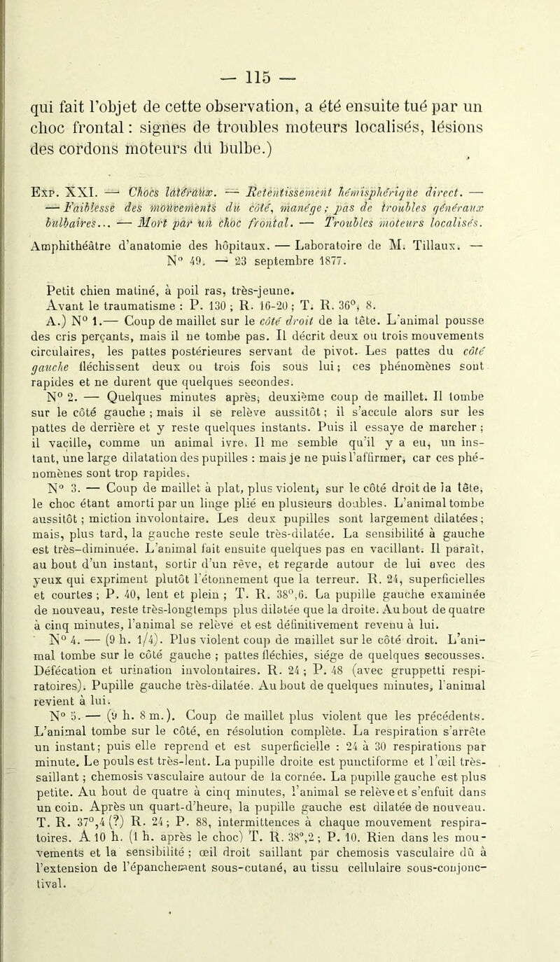 qui fait l’objet de cette observation, a été ensuite tué par un choc frontal : signes de troubles moteurs localisés, lésions des cordons moteurs dii bulbe.) Exp. XXI. —• Chocs làlérMix. — Retentissement KémUpMriqbe direct. — — Faiblesse des mouvements du côté, manège; pas de troubles généraux bulbaires... -— Mort par un choc frontal. — Troubles moteurs localisés. Amphithéâtre d’anatomie des hôpitaux. — Laboratoire de M. Tillaux. — N° 4!). —• 23 septembre 1877. Petit chien mâtiné, à poil ras, très-jeune. Avant le traumatisme : P. 130 ; R. 1G-20 ; T. R. 36°, 8. A.) N° 1.— Coup de maillet sur le côté droit de la tête. L'animal pousse des cris perçants, mais il ne tombe pas. Il décrit deux ou trois mouvements circulaires, les pattes postérieures servant de pivot. Les pattes du côté gauche fléchissent deux ou trois fois sous lui; ces phénomènes sont rapides et ne durent que quelques secondes. N° 2. —- Quelques minutes après, deuxième coup de maillet. Il tombe sur le côté gauche ; mais il se relève aussitôt ; il s’accule alors sur les pattes de derrière et y reste quelques instants. Puis il essaye de marcher ; il vacille, comme un animal ivre. Il me semble qu’il y a eu, un ins- tant, une large dilatation des pupilles : mais je ne puis l'affirmer, car ces phé- nomènes sont trop rapides. N° 3. — Coup de maillet, à plat, plus violent^ sur le côté droit de la tète, le choc étant amorti par un linge plié en plusieurs doubles. L’animal tombe aussitôt ; miction involontaire. Les deux pupilles sont largement dilatées ; mais, plus tard, la gauche reste seule très-dilatée. La sensibilité à gauche est très-diminuée. L’animal fait ensuite quelques pas en vacillant. Il paraît, au bout d’un instant, sortir d’un rêve, et regarde autour de lui avec des yeux qui expriment plutôt l'étonnement que la terreur. 1L 2i, superficielles et courtes ; P. 40, lent et plein ; T. R. 38°,fi. La pupille gauche examinée de nouveau, reste très-longtemps plus dilatée que la droite. Au bout de quatre à cinq minutes, l’animal se relève et est définitivement revenu à lui. X° 4. — (9 h. l/4). Plus violent coup de maillet sur le côté droit. L’ani- mal tombe sur le côté gauche ; pattes lléchies, siège de quelques secousses. Défécation et urination involontaires. R. 24; P. 48 (avec gruppetti respi- ratoires). Pupille gauche très-dilatée. Au bout de quelques minutes, l'animal revient à lui. N° 5. — (9 h. 8 m.). Coup de maillet plus violent que les précédents. L’animal tombe sur le côté, en résolution complète. La respiration s'arrête un instant; puis elle reprend et est superficielle : 24 à 30 respirations par minute. Le pouls est très-lent. La pupille droite est punctiforme et l’œil tres- saillant ; chemosis vasculaire autour de ia cornée. La pupille gauche est plus petite. Au bout de quatre à cinq minutes, l’animal se relève et s’enfuit dans un coin. Après un quart-d’lieure, la pupille gauche est dilatée de nouveau. T. R. 37°,4 (?) R. 24; P. 88, intermittences à chaque mouvement respira- toires. A 10 h. (l h. après le choc) T. R. 38°,2 ; P. 10. Rien dans les mou- vements et la sensibilité ; œil droit saillant par chemosis vasculaire dû à l’extension de l’épanchement sous-cutané, au tissu cellulaire sous-coujonc- tival.