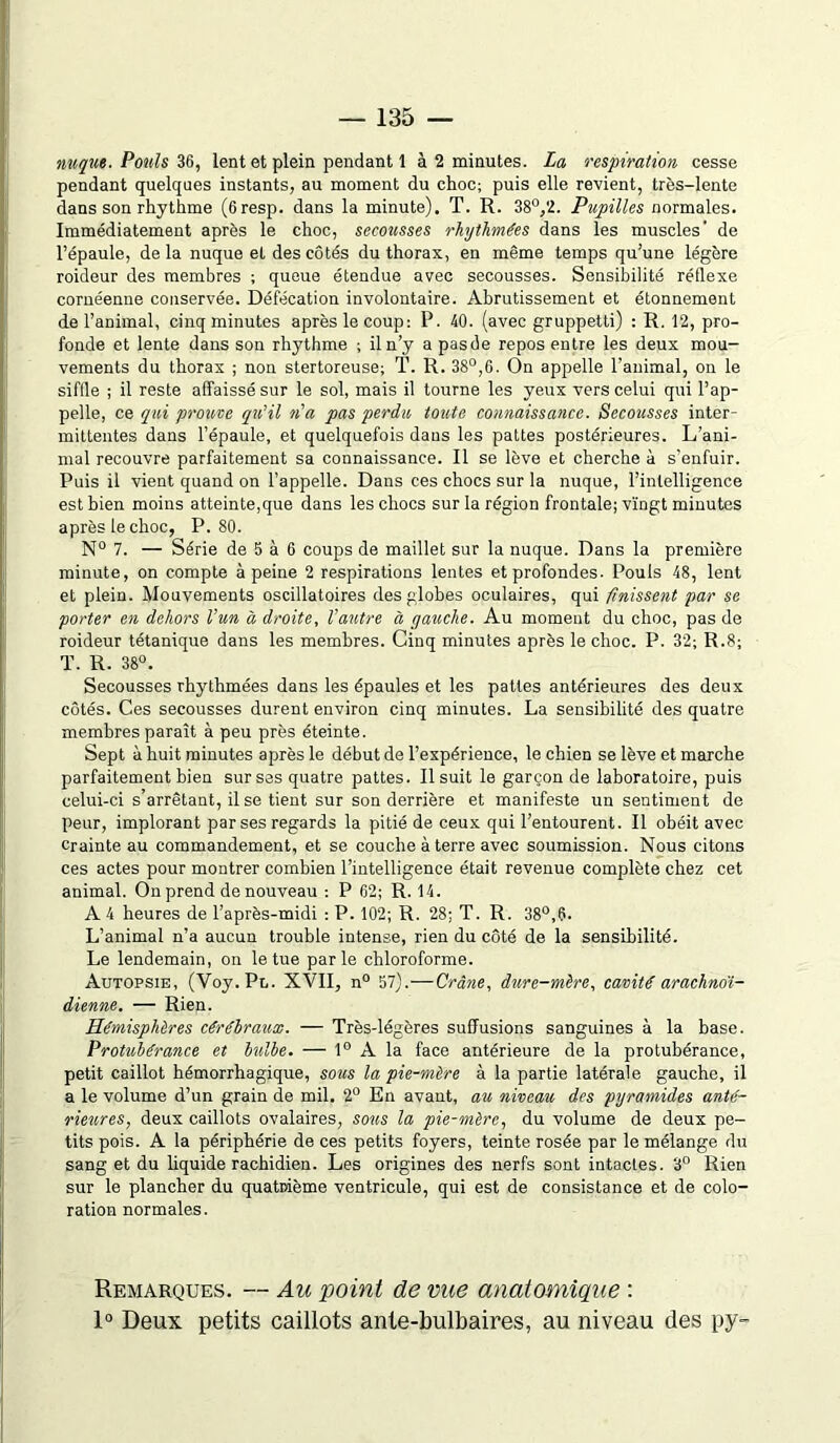 nuque. Pouls 36, lent et plein pendant 1 à 2 minutes. La respiration cesse pendant quelques instants, au moment du choc; puis elle revient, très-lente dans son rhythme (6resp. dans la minute). T. R. 38°,2. Pupilles normales. Immédiatement après le choc, secousses rhythmées dans les muscles' de l’épaule, de la nuque et des côtés du thorax, en même temps qu’une légère roideur des membres ; queue étendue avec secousses. Sensibilité réflexe cornéenne conservée. Défécation involontaire. Abrutissement et étonnement de l’animal, cinq minutes après le coup: P. 40. (avec gruppetti) : R. 12, pro- fonde et lente dans son rhythme ; il n’y a pasde repos entre les deux mou- vements du thorax ; non stertoreuse; T. R. 38°,6. On appelle l’animal, on le siffle ; il reste affaissé sur le sol, mais il tourne les yeux vers celui qui l’ap- pelle, ce qui prouve qu’il n’a pas perdu toute connaissance. Secousses inter- mittentes dans l’épaule, et quelquefois dans les pattes postérieures. L’ani- mal recouvre parfaitement sa connaissance. Il se lève et cherche à s’enfuir. Puis il vient quand on l’appelle. Dans ces chocs sur la nuque, l’intelligence est bien moins atteinte,que dans les chocs sur la région frontale; vingt minutes après le choc, P. 80. N° 7. — Série de 5 à 6 coups de maillet sur la nuque. Dans la première minute, on compte à peine 2 respirations lentes et profondes. Pouls 48, lent et plein. Mouvements oscillatoires des globes oculaires, qui finissent par se porter en dehors l’un à droite, l’autre à gauche. Au moment du choc, pas de roideur tétanique dans les membres. Cinq minutes après le choc. P. 32; R.8; T. R. 38°. Secousses rhythmées dans les épaules et les pattes antérieures des deux côtés. Ces secousses durent environ cinq minutes. La sensibilité des quatre membres paraît à peu près éteinte. Sept à huit minutes après le début de l’expérience, le chien se lève et marche parfaitement bien sur ses quatre pattes. Il suit le garçon de laboratoire, puis celui-ci s’arrêtant, il se tient sur son derrière et manifeste un sentiment de peur, implorant par ses regards la pitié de ceux qui l’entourent. Il obéit avec crainte au commandement, et se couche à terre avec soumission. Nous citons ces actes pour montrer combien l’intelligence était revenue complète chez cet animal. On prend de nouveau : P 62; R. 14. A 4 heures de l’après-midi : P. 102; R. 28; T. R. 38°,6. L’animal n’a aucun trouble intense, rien du côté de la sensibilité. Le lendemain, on le tue parle chloroforme. Autopsie, (Voy.Pn. XVII, n° 57).—Crâne, dure-mère, cavité arachnoï- dienne. — Rien. Hémisphères cérébraux. — Très-légères suffusions sanguines à la base. Protubérance et bulbe. — 1° A la face antérieure de la protubérance, petit caillot hémorrhagique, sous la pie-mire à la partie latérale gauche, il a le volume d’un grain de mil. 2° En avant, au niveau des pyramides anté- rieures, deux caillots ovalaires, sous la pie-mère, du volume de deux pe- tits pois. A la périphérie de ces petits foyers, teinte rosée par le mélange du sang et du liquide rachidien. Les origines des nerfs sont intactes. 3° Rien sur le plancher du quatrième ventricule, qui est de consistance et de colo- ration normales. Remarques. — Au point de vue anatomique : 1° Deux petits caillots ante-bulbaires, au niveau des py-