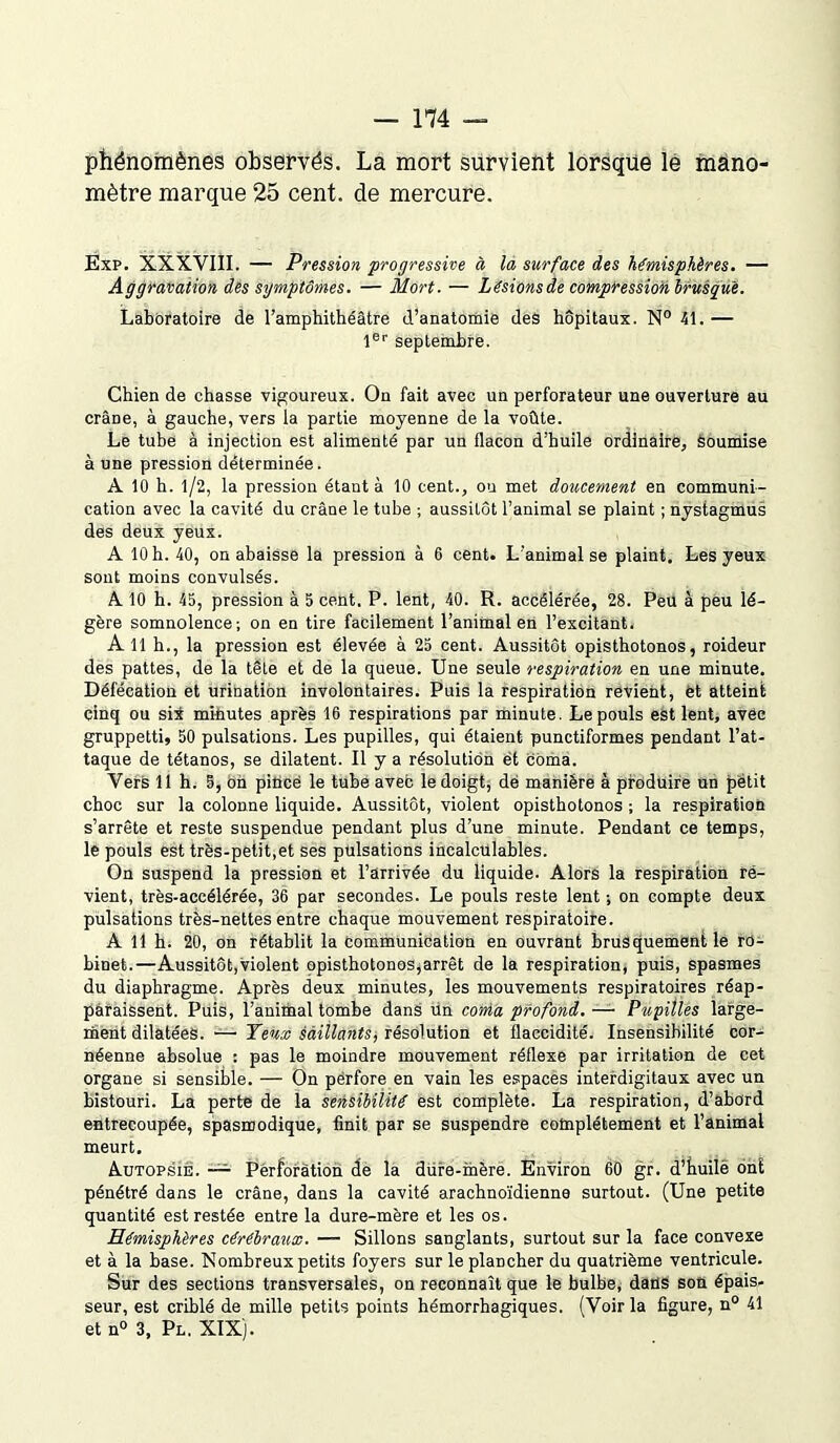 phénomènes observés. La mort survient lorsque le mano- mètre marque 25 cent, de mercure. Exp. XXXVIII. — Pression progressive à la surface des hémisphères. — Aggravation des symptômes. — Mort. — Lésions de compression brusque. Laboratoire de l’amphithéâtre d’anatomie des hôpitaux. N° 41.— 1er septembre. Chien de chasse vigoureux. On fait avec un perforateur une ouverture au crâne, à gauche, vers la partie moyenne de la voûte. Le tube à injection est alimenté par un flacon d’huile ordinaire, Soumise à une pression déterminée. A 10 h. 1/2, la pression étant à 10 cent., ou met doucement en communi- cation avec la cavité du crâne le tube ; aussitôt l’animal se plaint ; nystagmus des deux yeux. A 10 h. 40, on abaisse la pression à 6 cent. L’animal se plaint. Les yeux sont moins convulsés. A 10 h. 45, pression à 5 cent. P. lent, 40. R. accélérée, 28. Peu à peu lé- gère somnolence; on en tire facilement l’animal en l’excitant. Ail h., la pression est élevée à 25 cent. Aussitôt opisthotonos, roideur des pattes, de la tête et de la queue. Une seule respiration en une minute. Défécation et urination involontaires. Puis la respiration revient, et atteint cinq ou six minutes après 16 respirations par minute. Le pouls est lent, avec gruppetti, 50 pulsations. Les pupilles, qui étaient punctiformes pendant l’at- taque de tétanos, se dilatent. Il y a résolution et coma. Vers 11 h. 5, on piticë le tube avec le doigt, dé manière à produire un frétât choc sur la colonne liquide. Aussitôt, violent opisthotonos ; la respiration s’arrête et reste suspendue pendant plus d’une minute. Pendant ce temps, le pouls est très-petit,et ses pulsations incalculables. On suspend la pression et l’arrivée du liquide. Alors la respiration ré- vient, très-accélérée, 36 par secondes. Le pouls reste lent ; on compte deux pulsations très-nettes entre chaque mouvement respiratoire. A 11 h. 20, on rétablit la communication en ouvrant brusquement le ro- binet.—Aussitôt,violent opisthotonos,arrêt de la respiration, puis, spasmes du diaphragme. Après deux minutes, les mouvements respiratoires réap- pâtaissent. Puis, l’animal tombe dans un coma profond.— Pupilles large- ment dilatées. — Yeux saillants, résolution et flaccidité. Insensibilité cor- néenne absolue : pas le moindre mouvement réflexe par irritation de cet organe si sensible. — On perfore en vain les espaces interdigitaux avec un bistouri. La perte de la sensibilité est complète. La respiration, d’abord entrecoupée, spasmodique, finit par se suspendre complètement et l’animal meurt. A-Utopsié. — Perforation de la düre-mère. Environ 60 gr. d’huile ont pénétré dans le crâne, dans la cavité arachnoïdienne surtout. (Une petite quantité est restée entre la dure-mère et les os. Hémisphères cérébraux. — Sillons sanglants, surtout sur la face convexe et à la base. Nombreux petits foyers sur le plancher du quatrième ventricule. Sur des sections transversales, on reconnaît que le bulbe, dans son épais- seur, est criblé de mille petits points hémorrhagiques. (Voir la figure, n° 41 et n° 3, Pl. XIX).