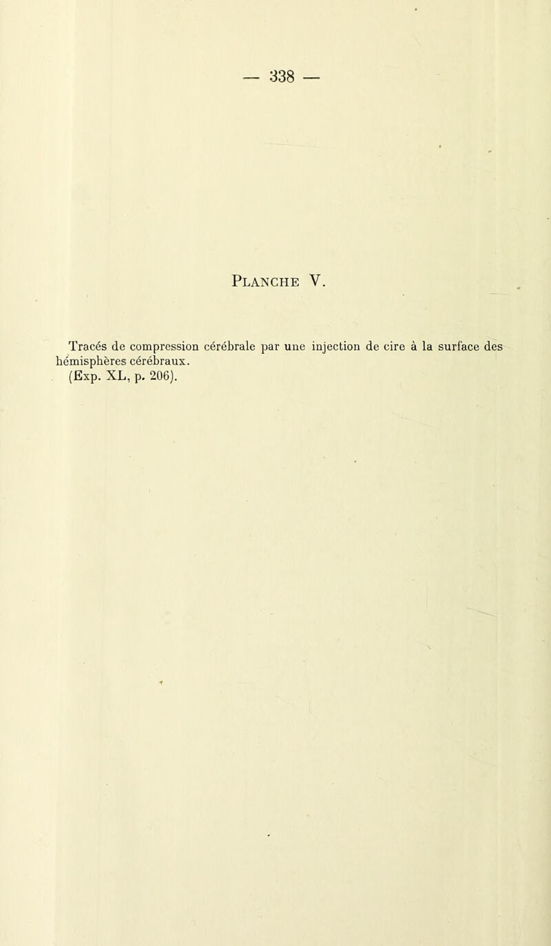 — 338 — Planche V. Tracés de compression cérébrale par une injection de cire à la surface des hémisphères cérébraux. (Exp. XL, p. 206).