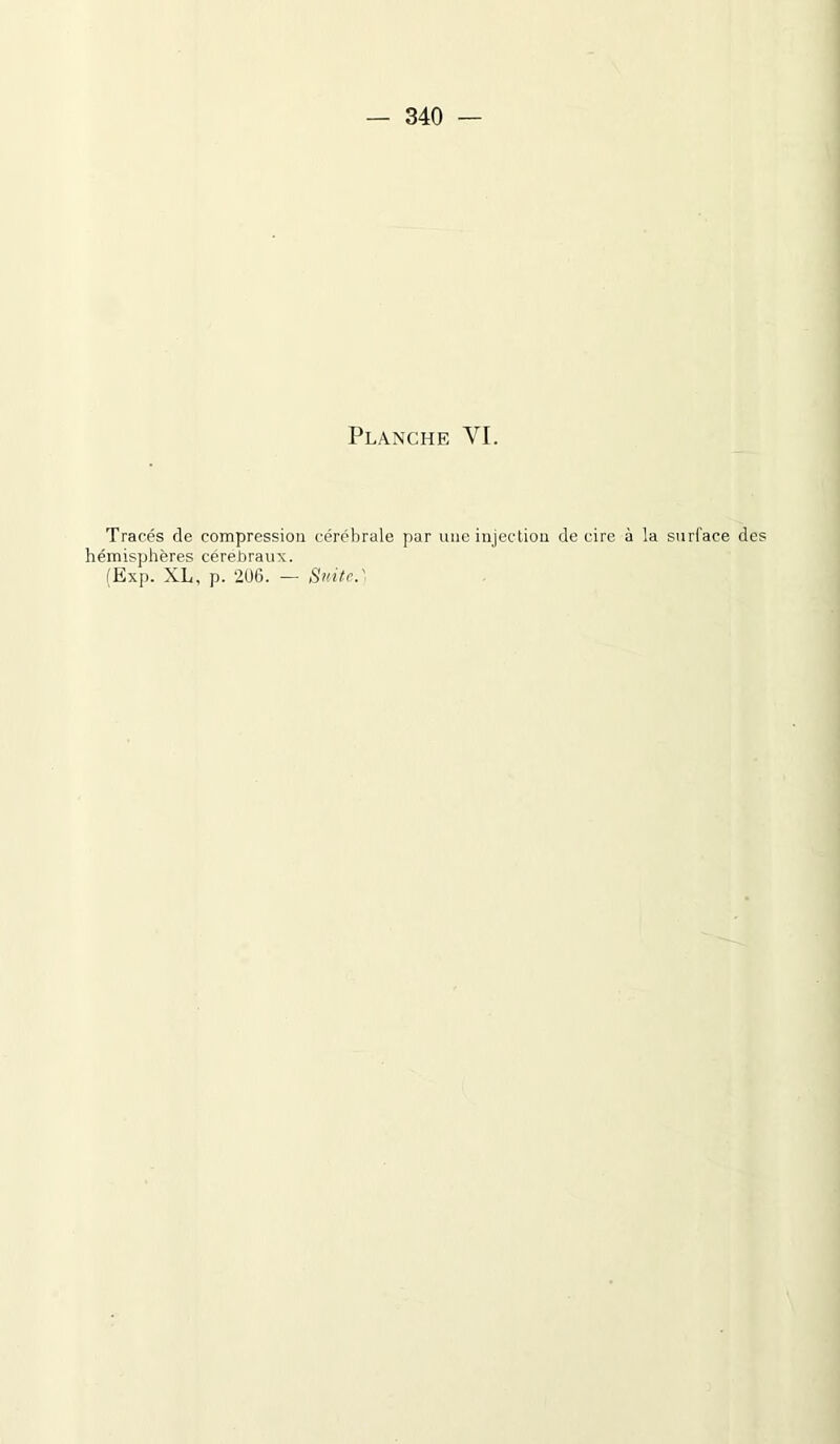 — 340 — Planche VI. Tracés de compression cérébrale par une injection de cire à la surface des hémisphères cérébraux. (Exp. XL, p. 2U6. — Suite.'